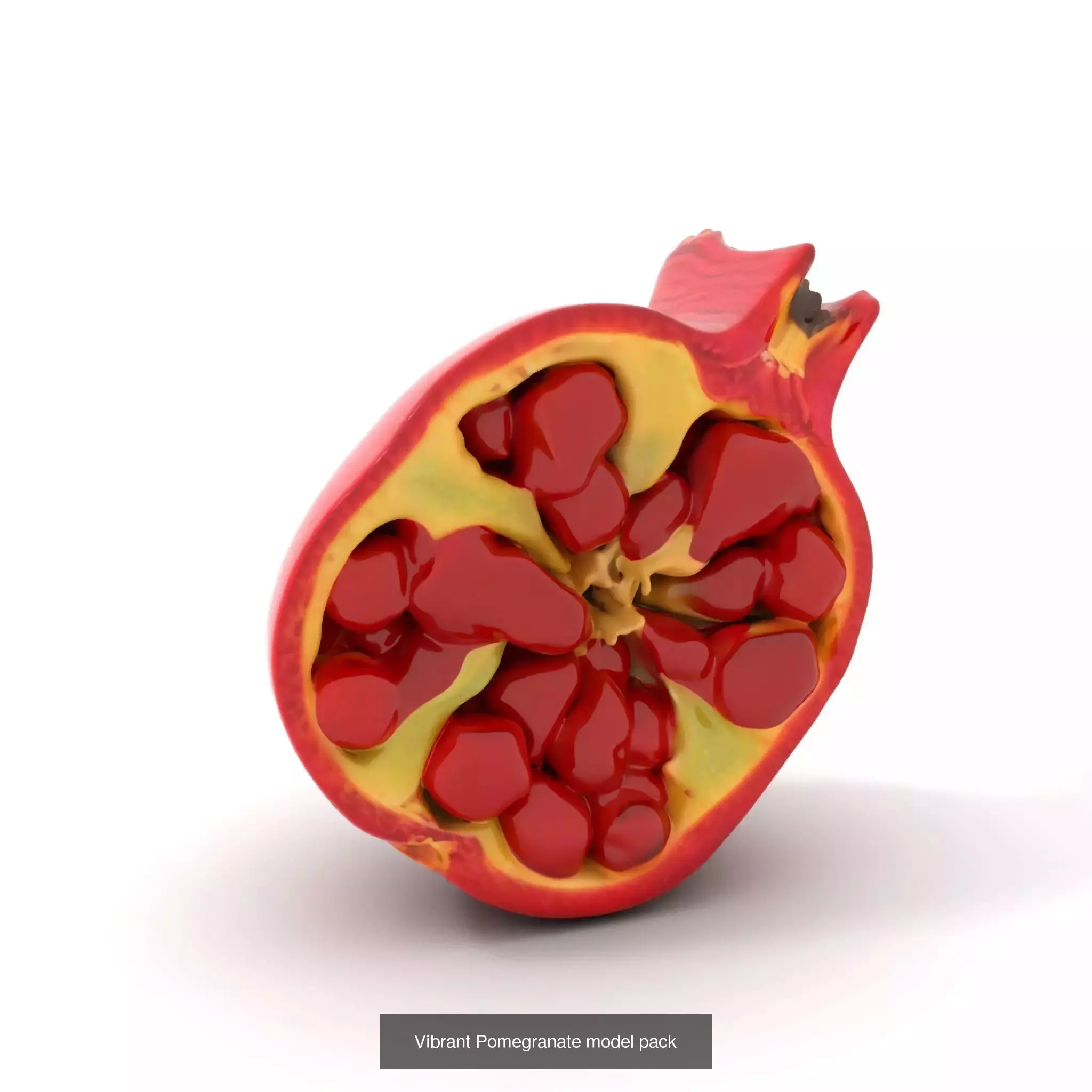 Vivid Fruit Model Collection _18