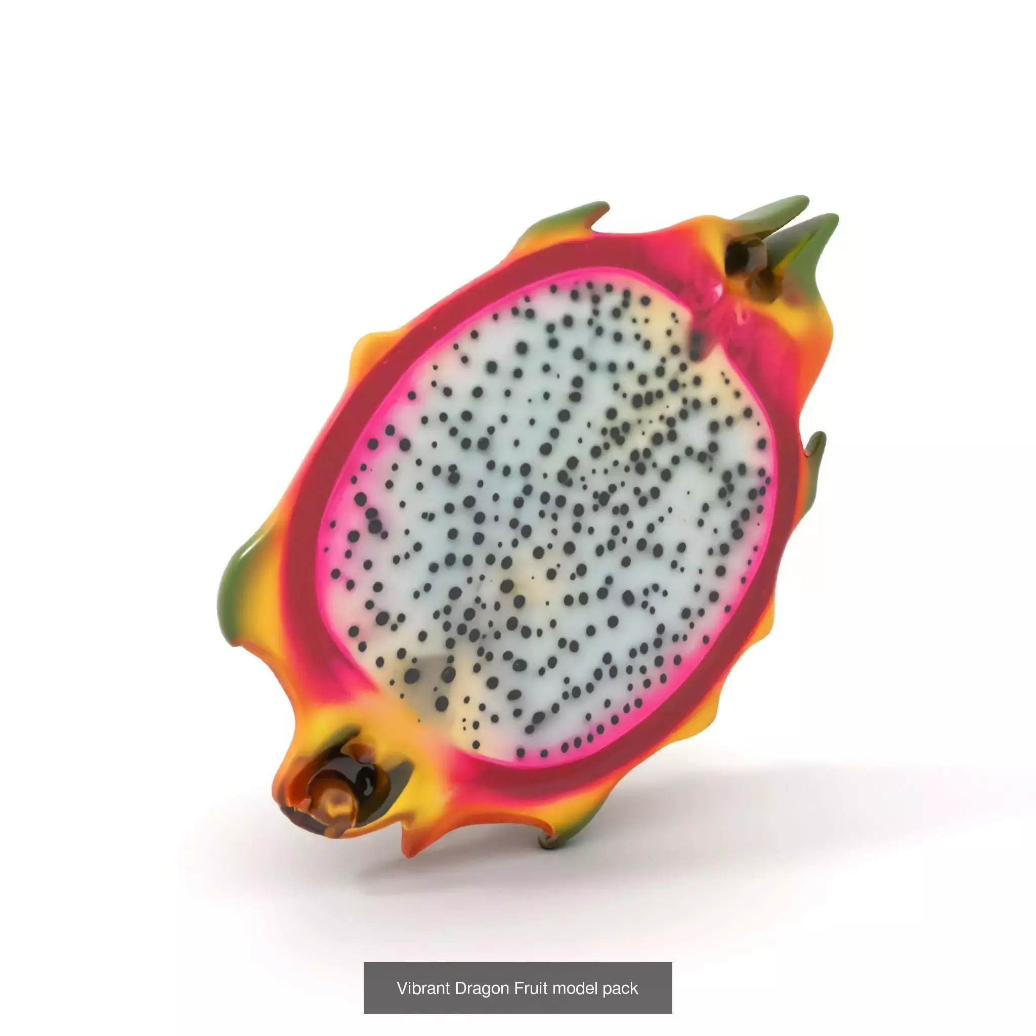 Vivid Fruit Model Collection _19
