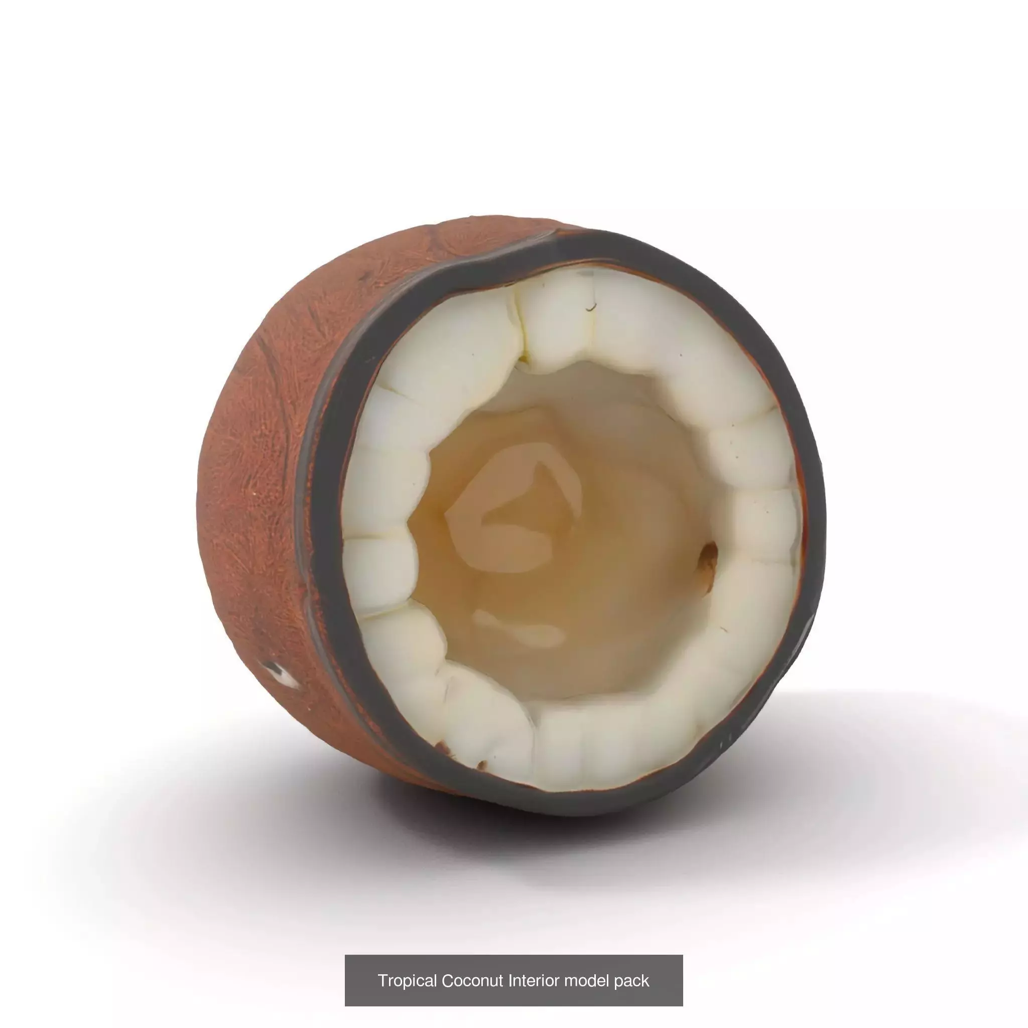 Vivid Fruit Model Collection _14