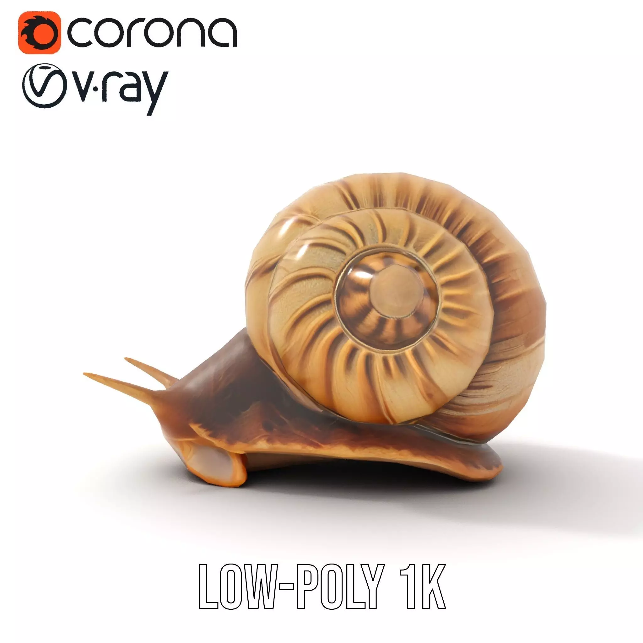 Natural Snail Shell model pack Low-poly 3D model_13