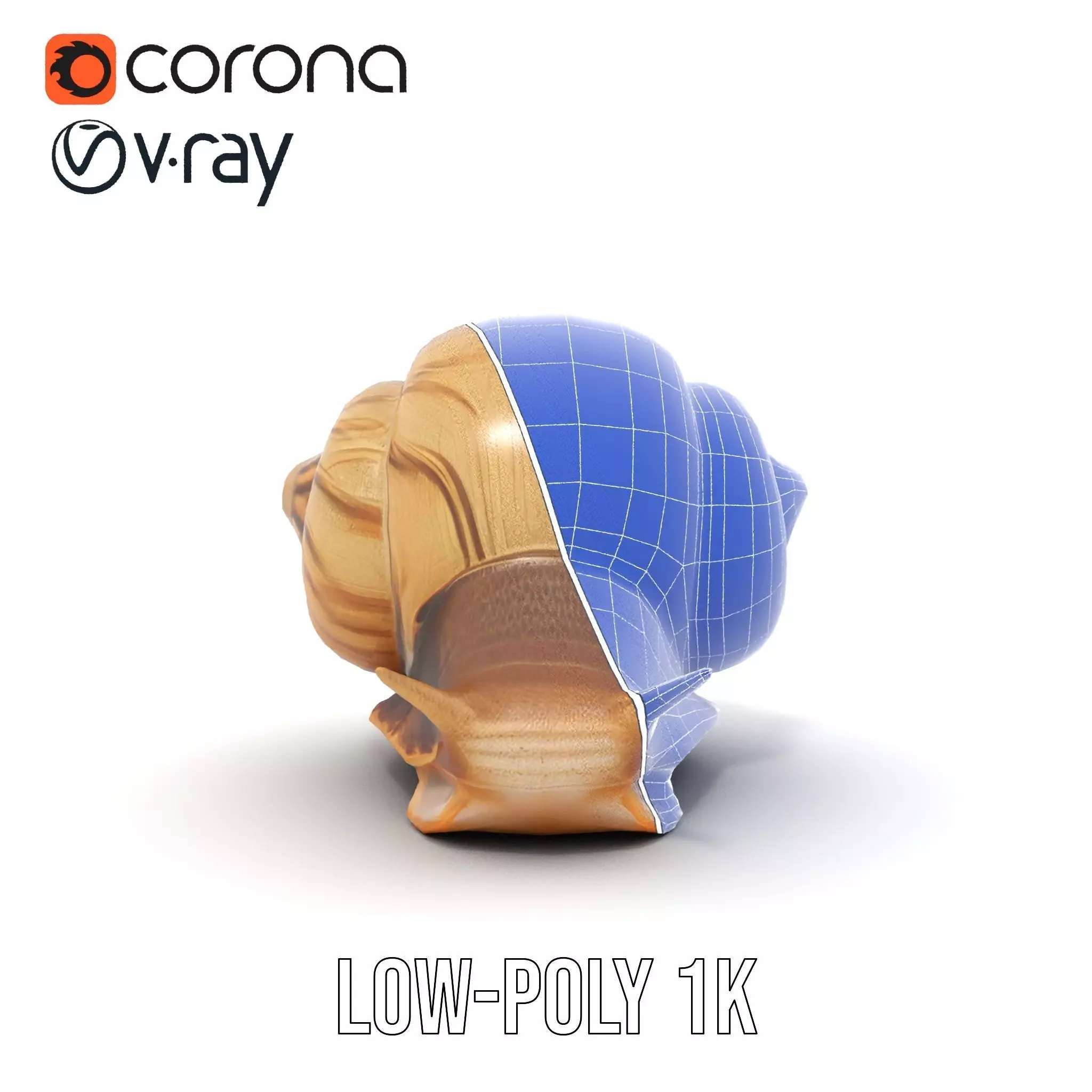 Natural Snail Shell model pack Low-poly 3D model_26