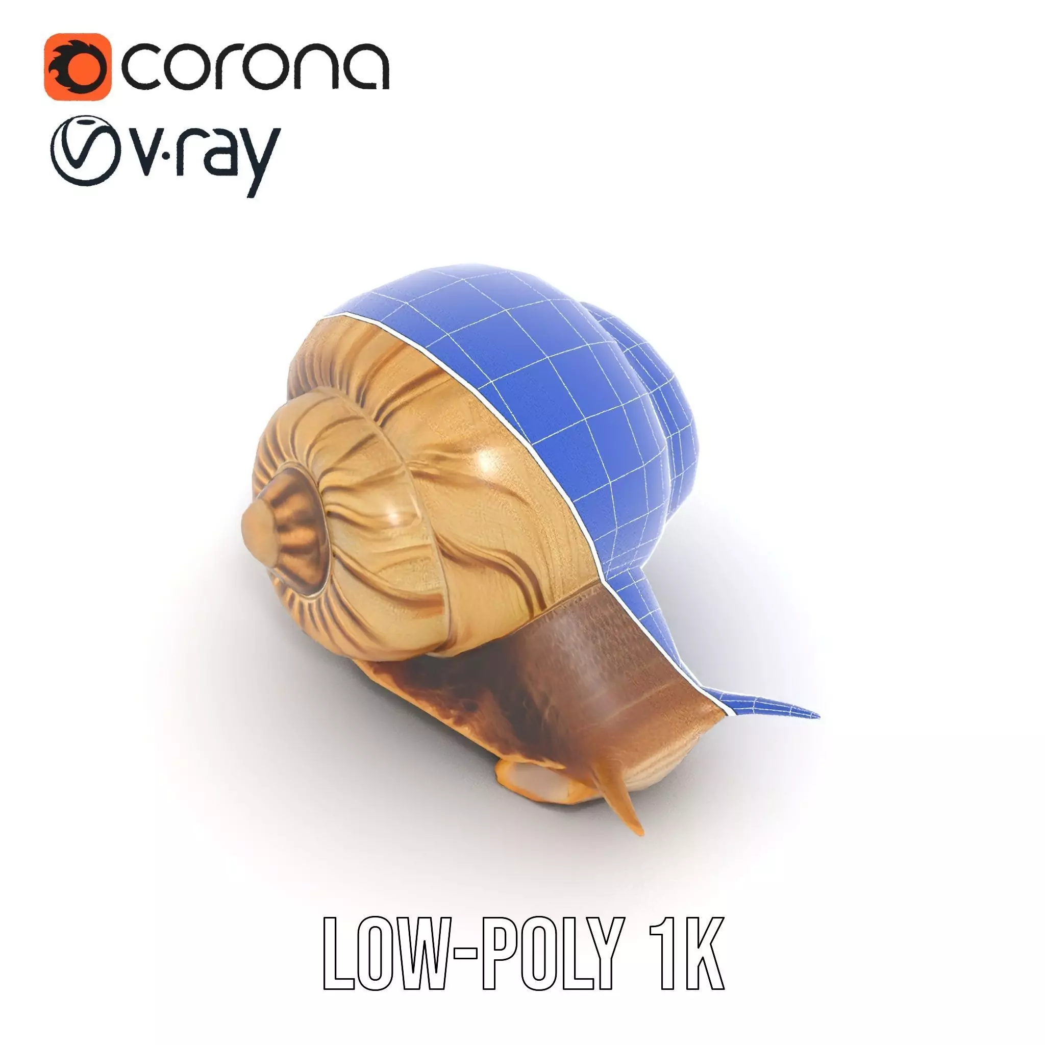Natural Snail Shell model pack Low-poly 3D model_18