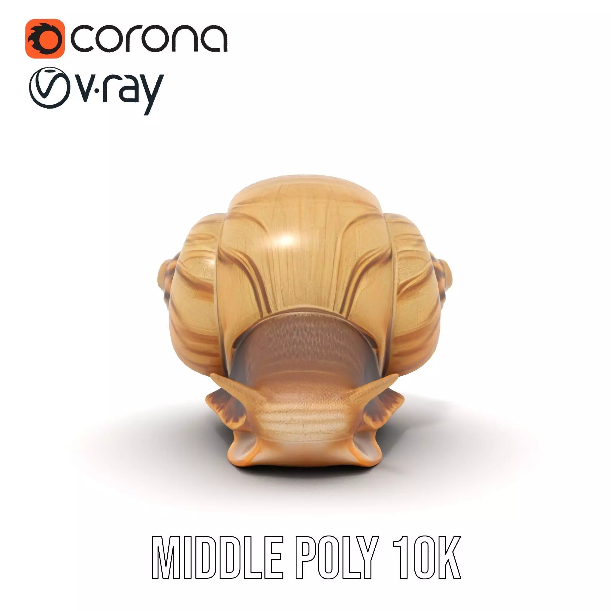 Natural Snail Shell model pack Low-poly 3D model_14
