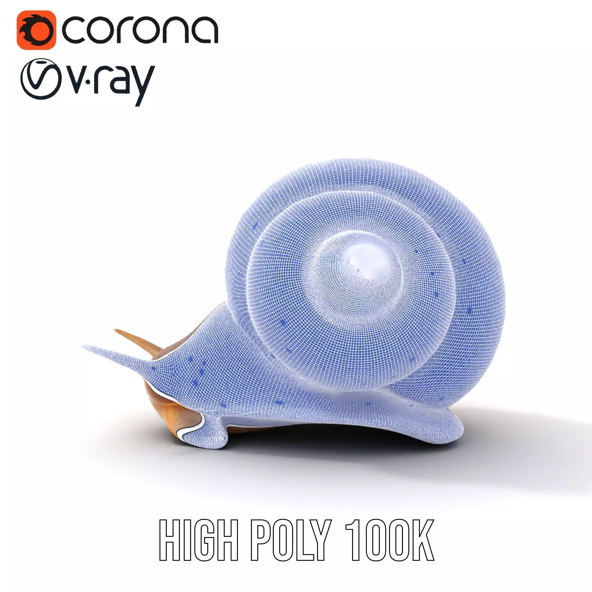Natural Snail Shell model pack Low-poly 3D model_33