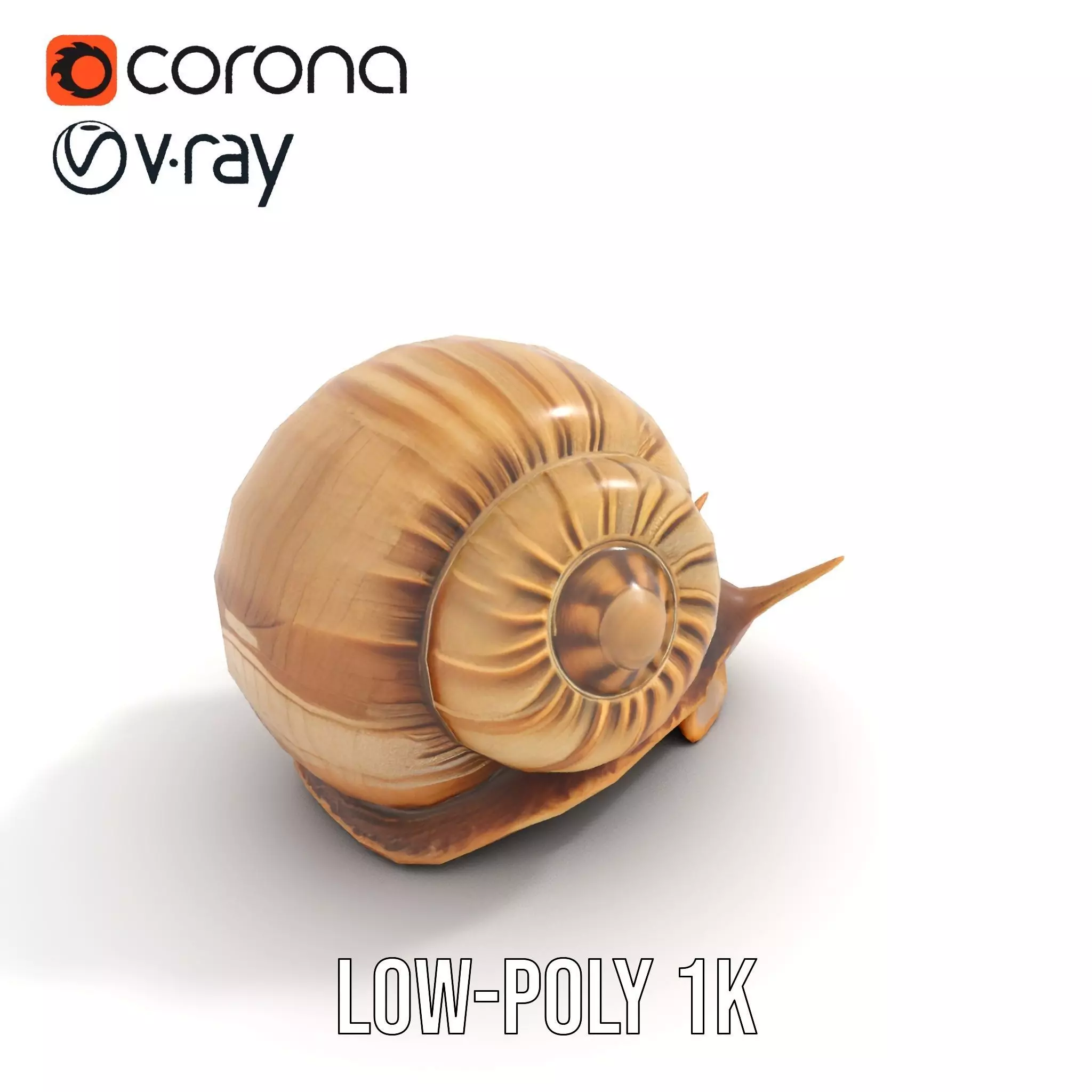 Natural Snail Shell model pack Low-poly 3D model_10
