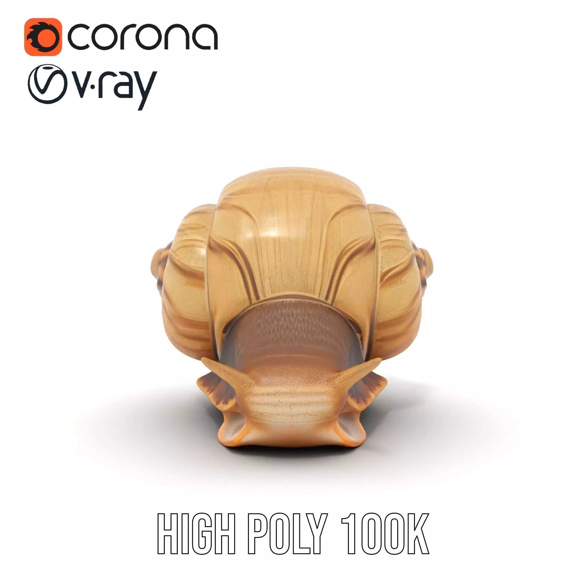Natural Snail Shell model pack Low-poly 3D model_19