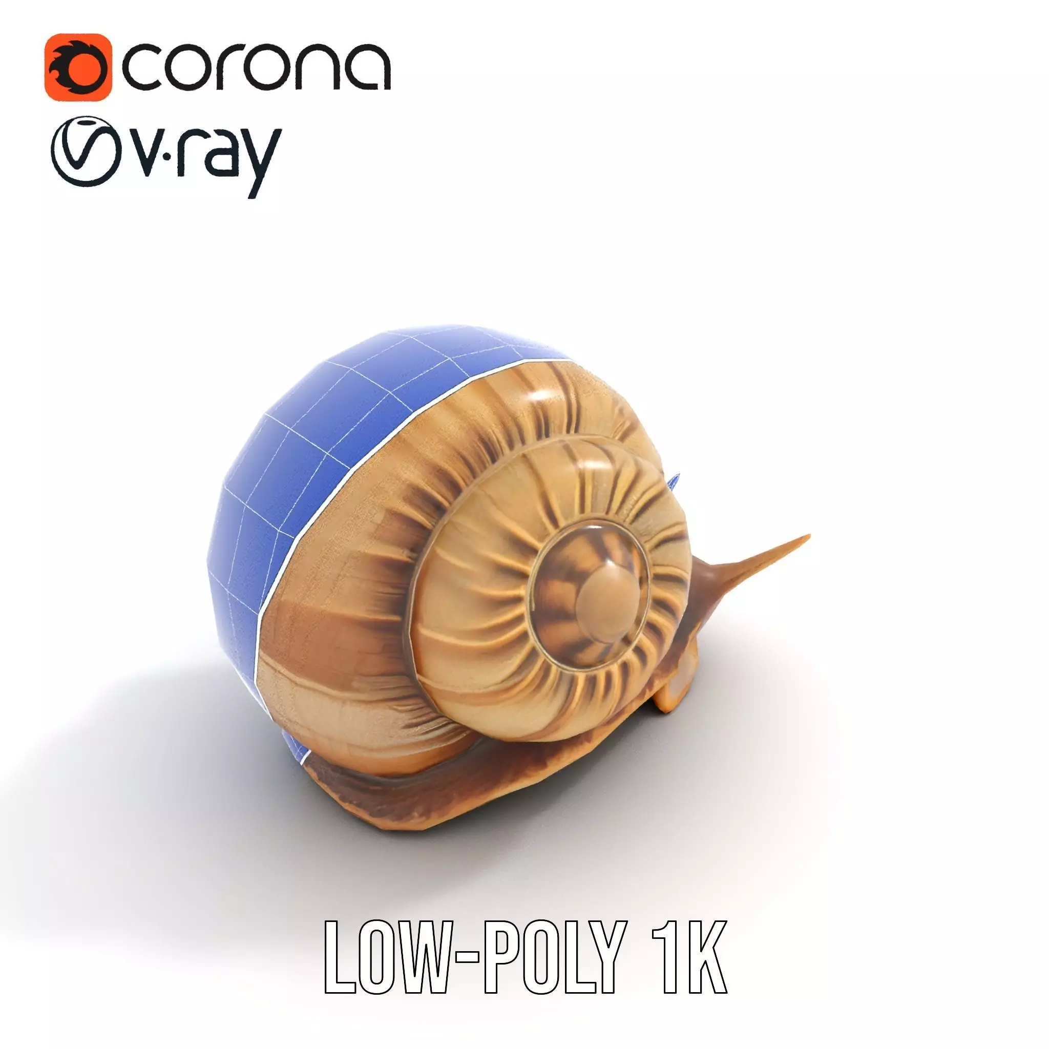 Natural Snail Shell model pack Low-poly 3D model_15