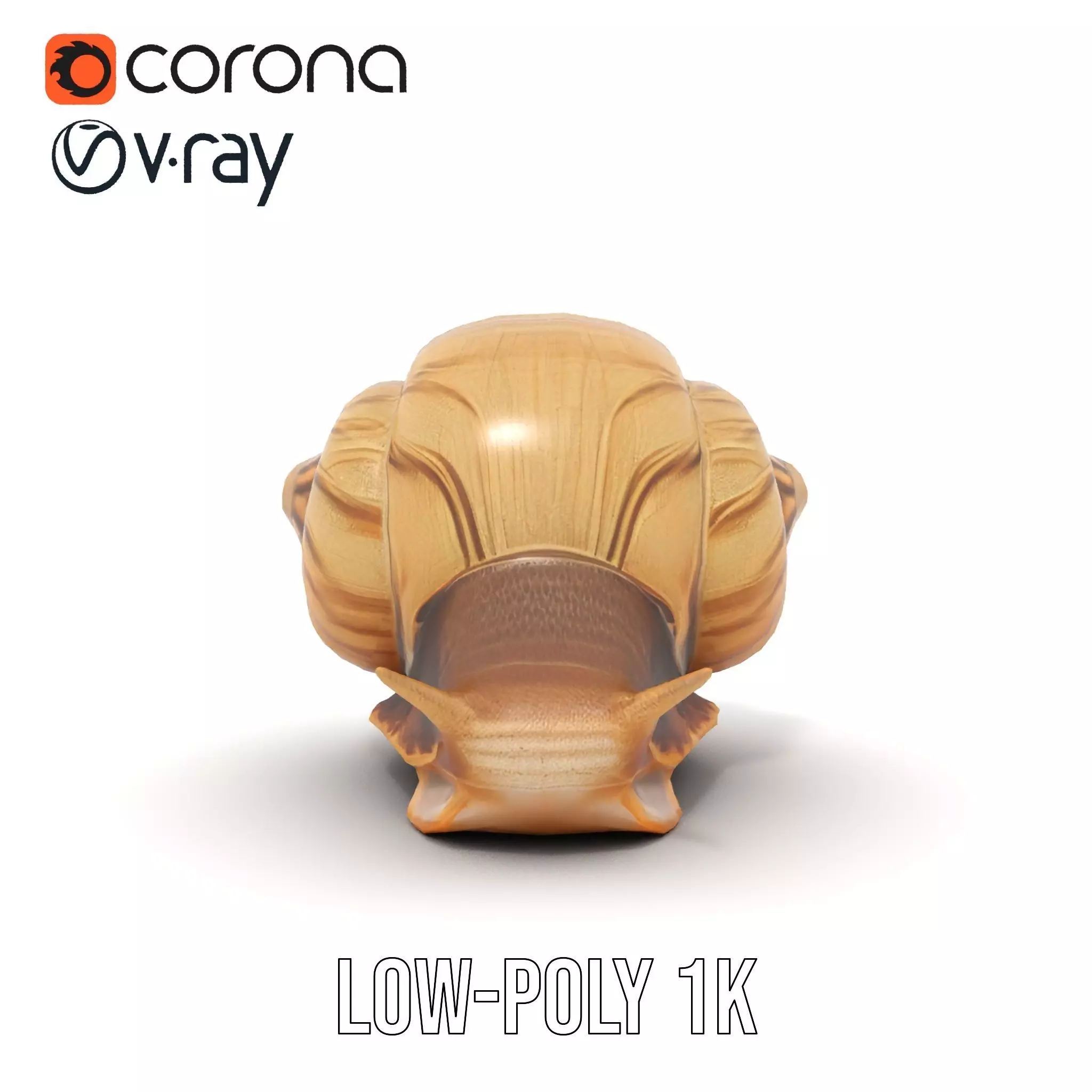 Natural Snail Shell model pack Low-poly 3D model_29