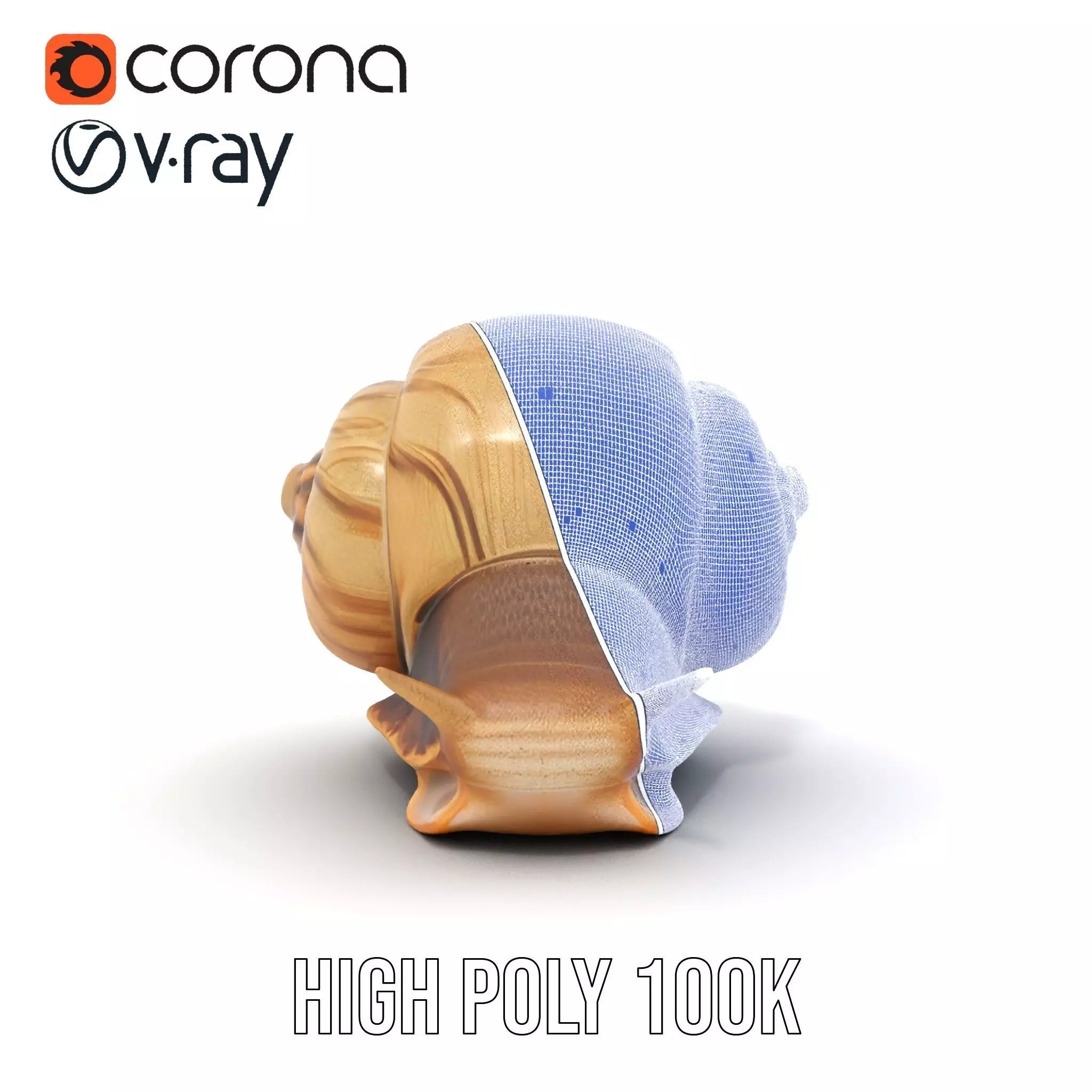 Natural Snail Shell model pack Low-poly 3D model_34