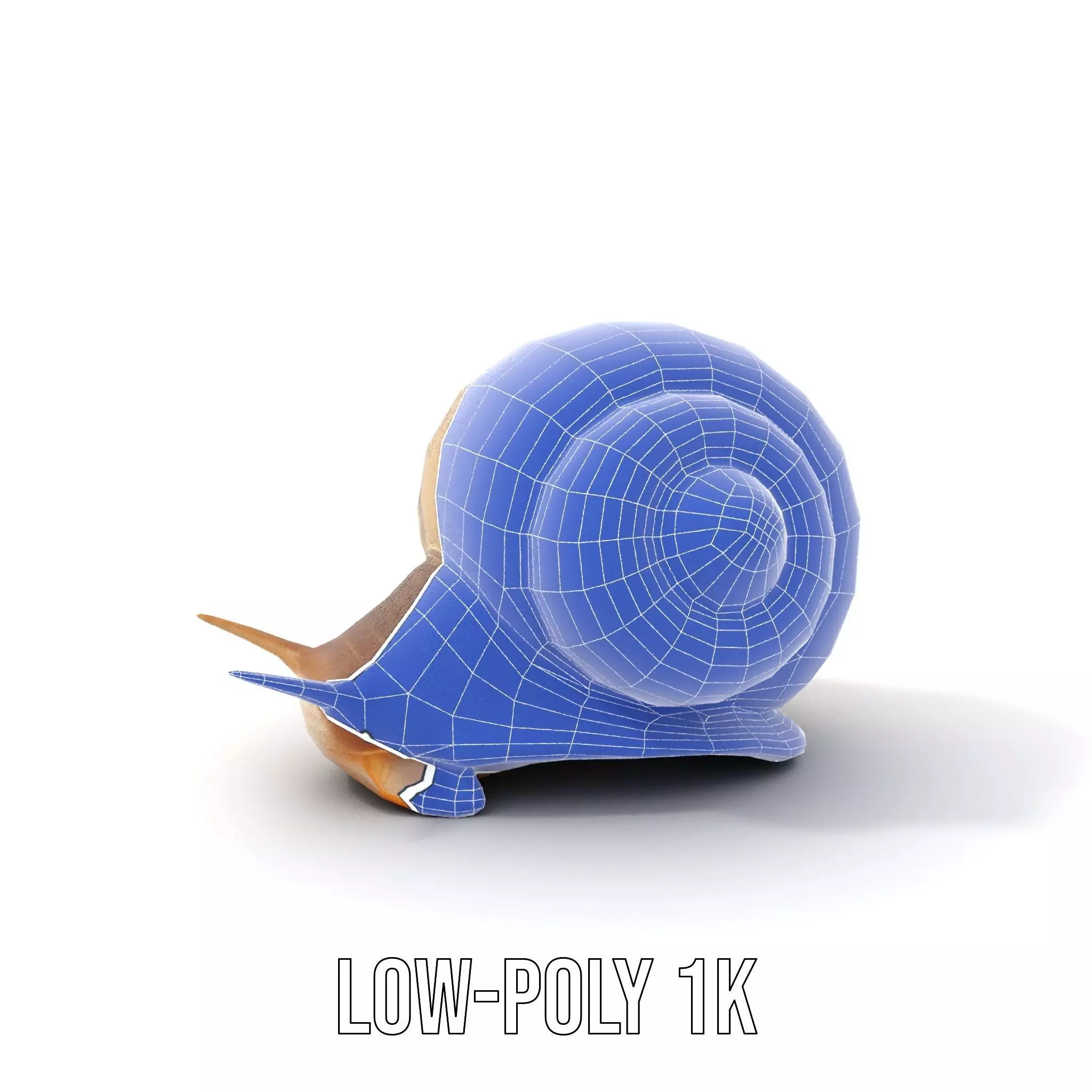 Natural Snail Shell model pack Low-poly 3D model_21