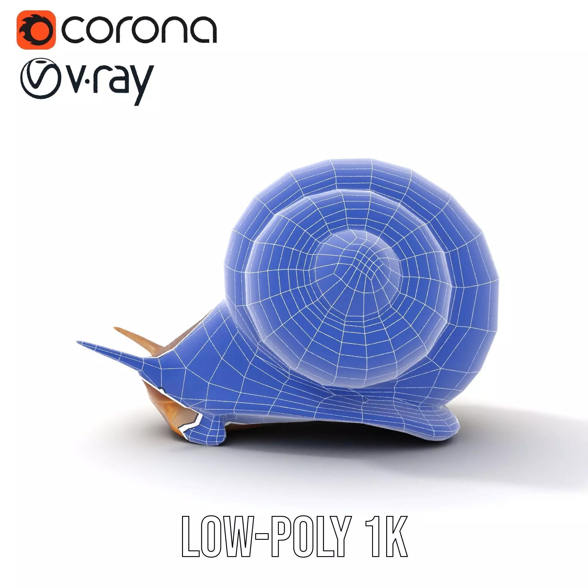 Natural Snail Shell model pack Low-poly 3D model_32