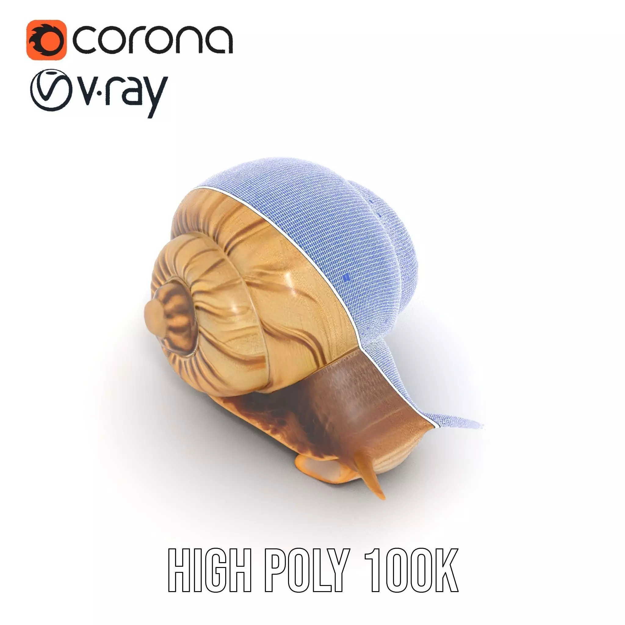 Natural Snail Shell model pack Low-poly 3D model_30
