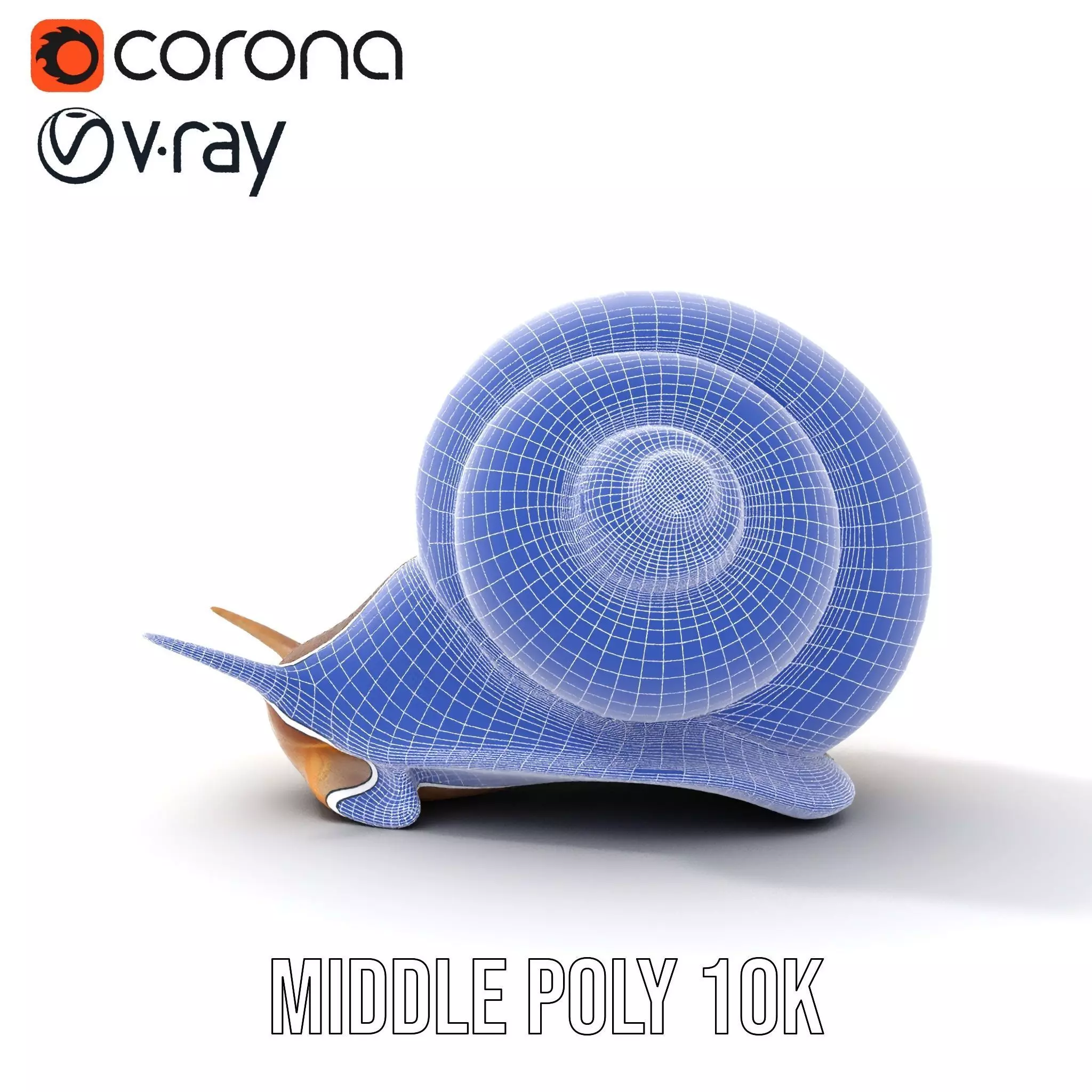 Natural Snail Shell model pack Low-poly 3D model_23