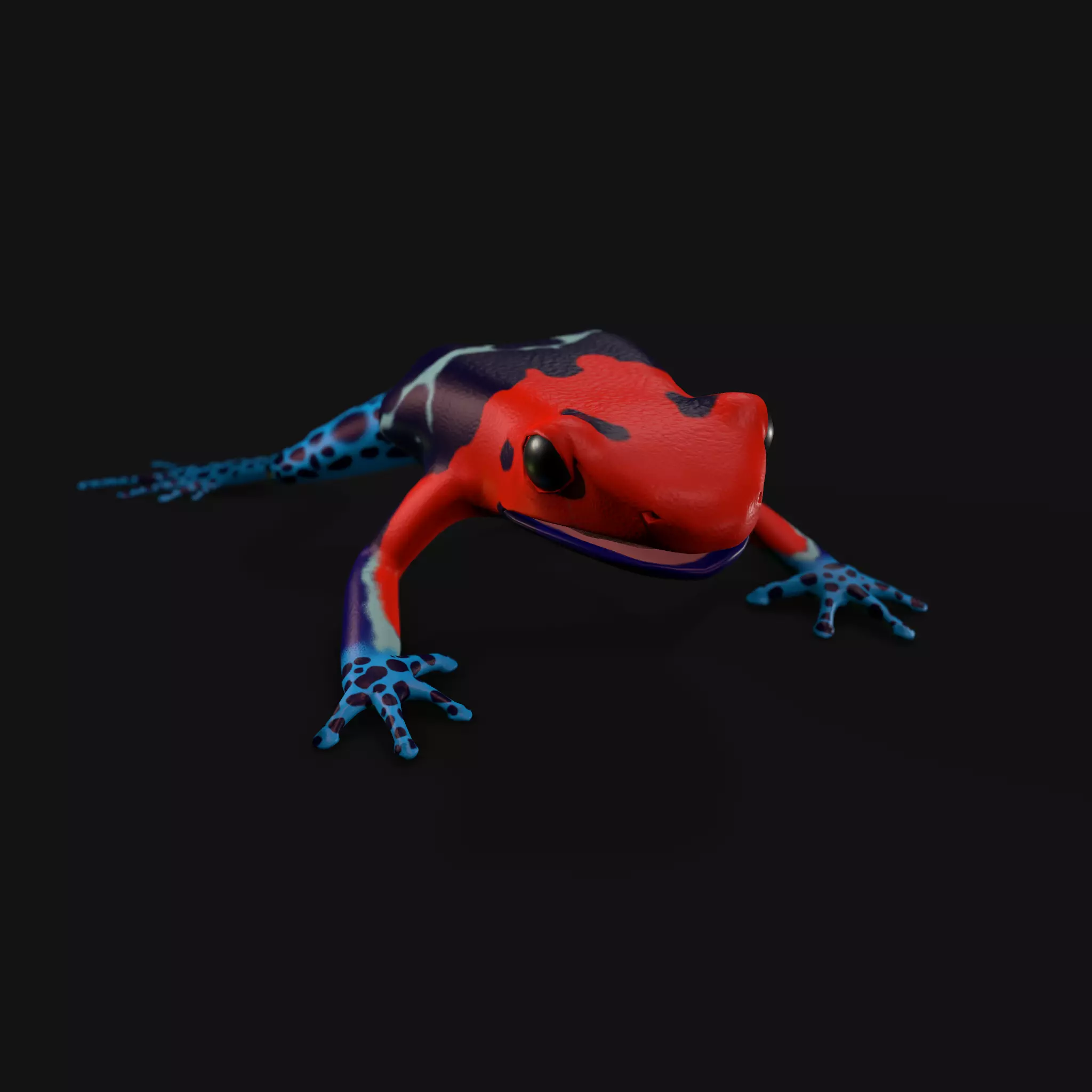 Dart frog Low-poly 3D model