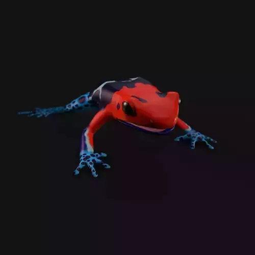 Dart frog