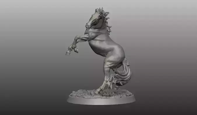 Horse pose 01