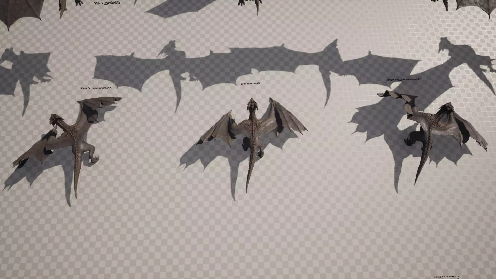 Dragon Wyvern Pack 3D Model Collection_14