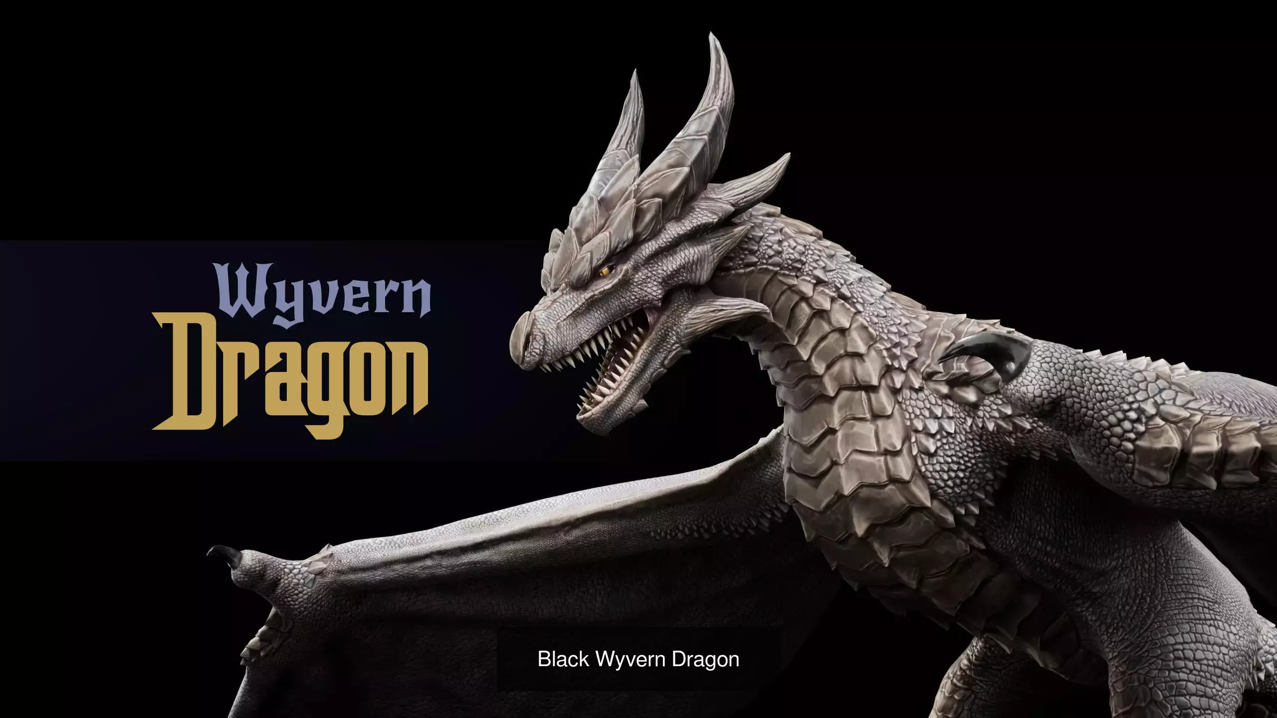 Dragon Wyvern Pack 3D Model Collection_7