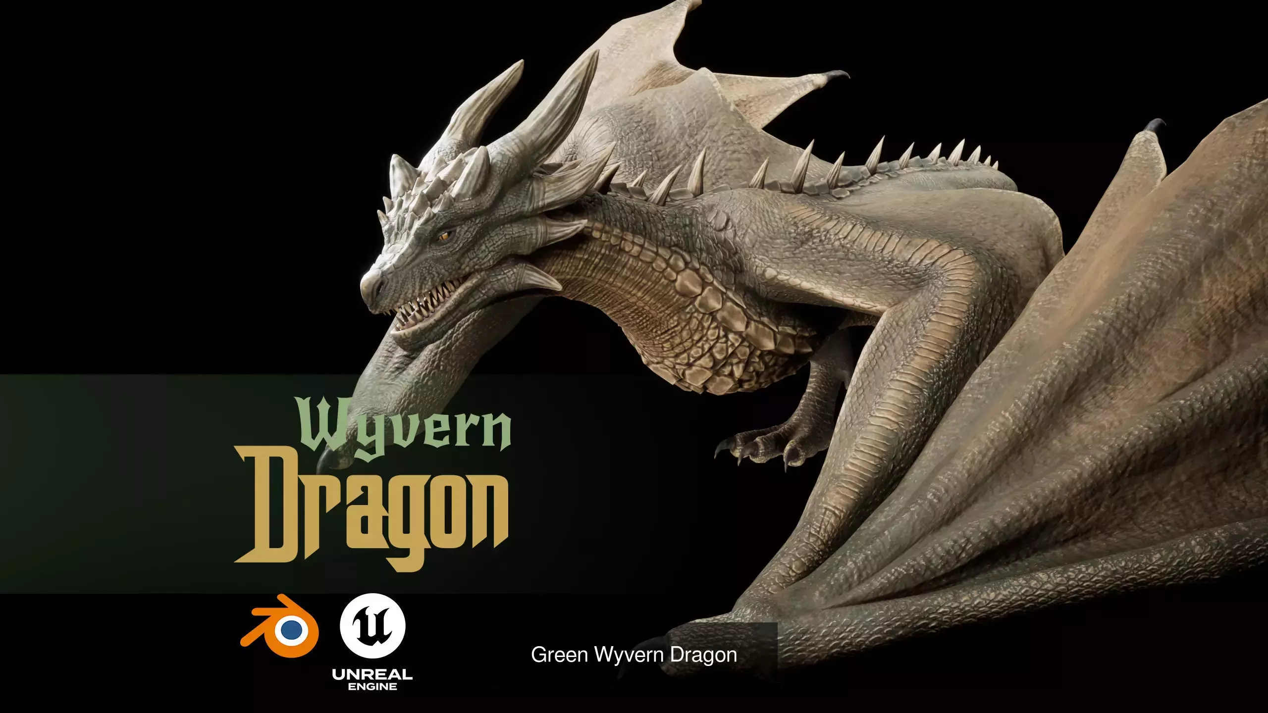 Dragon Wyvern Pack 3D Model Collection_6