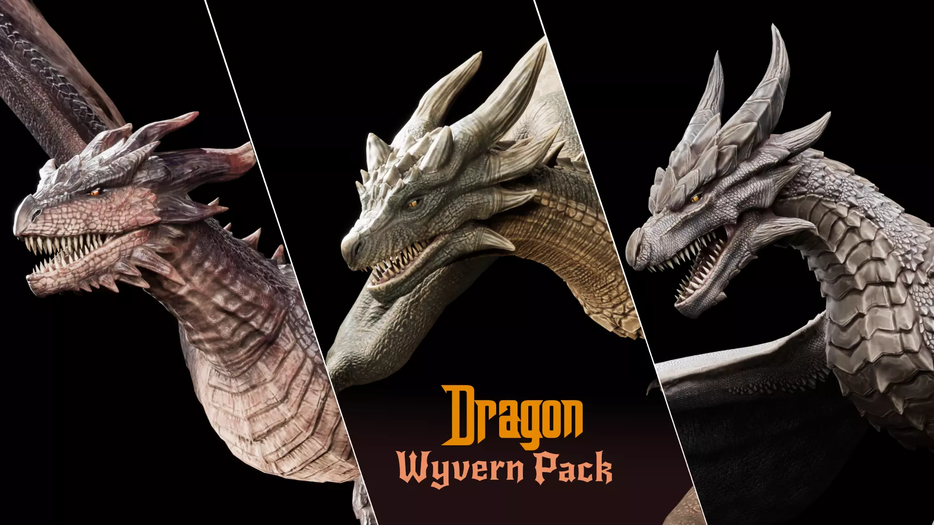 Dragon Wyvern Pack 3D Model Collection_0