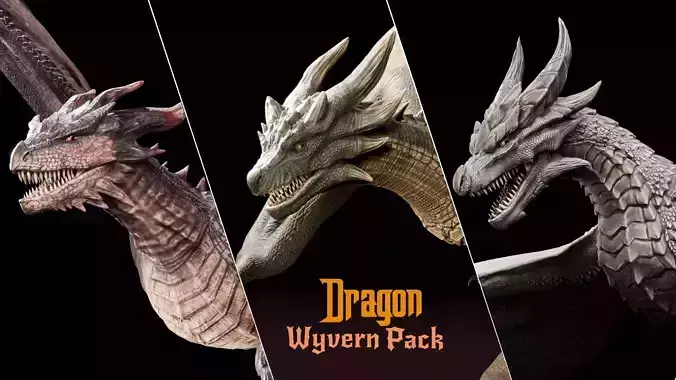 Dragon Wyvern Pack 3D Model Collection