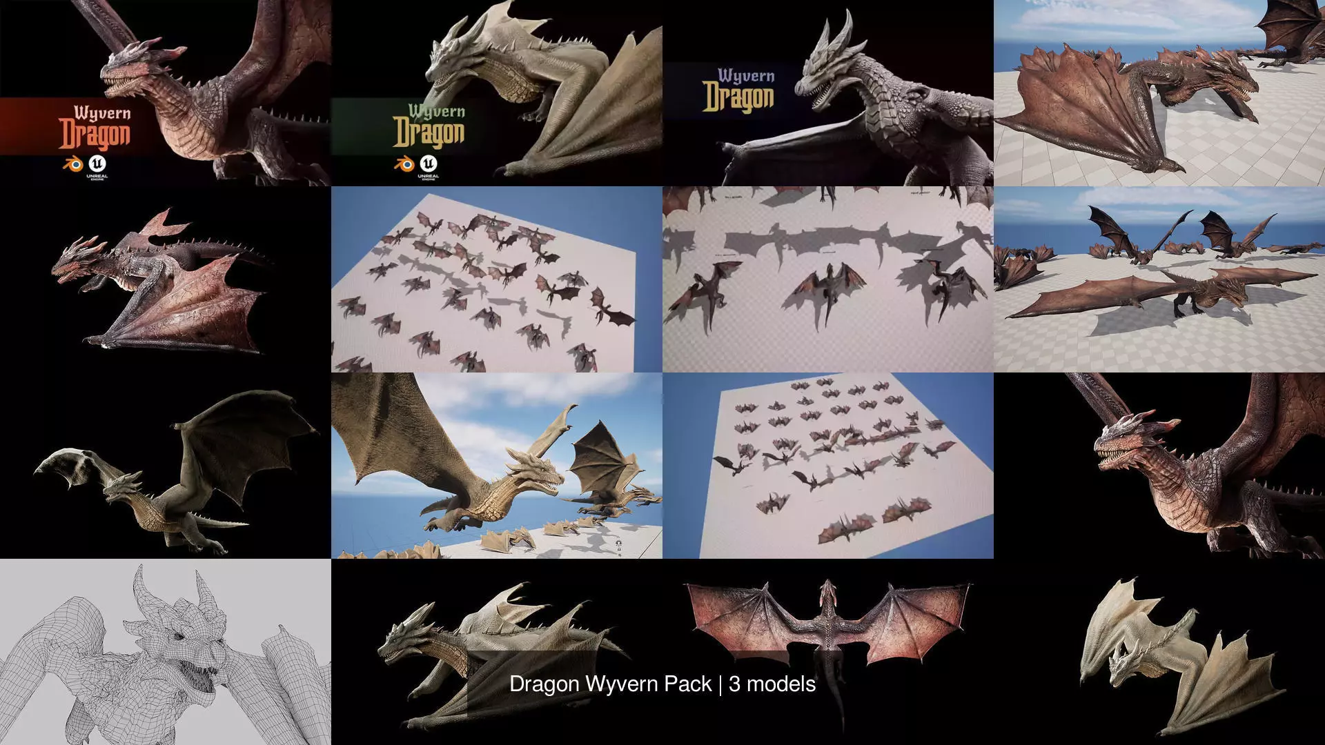 Dragon Wyvern Pack 3D Model Collection_4