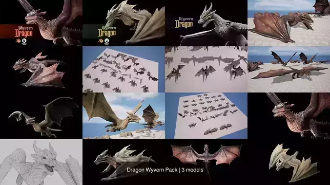 Dragon Wyvern Pack
