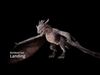 Dragon Wyvern Pack 3D Model Collection_1