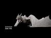 Dragon Wyvern Pack 3D Model Collection_3