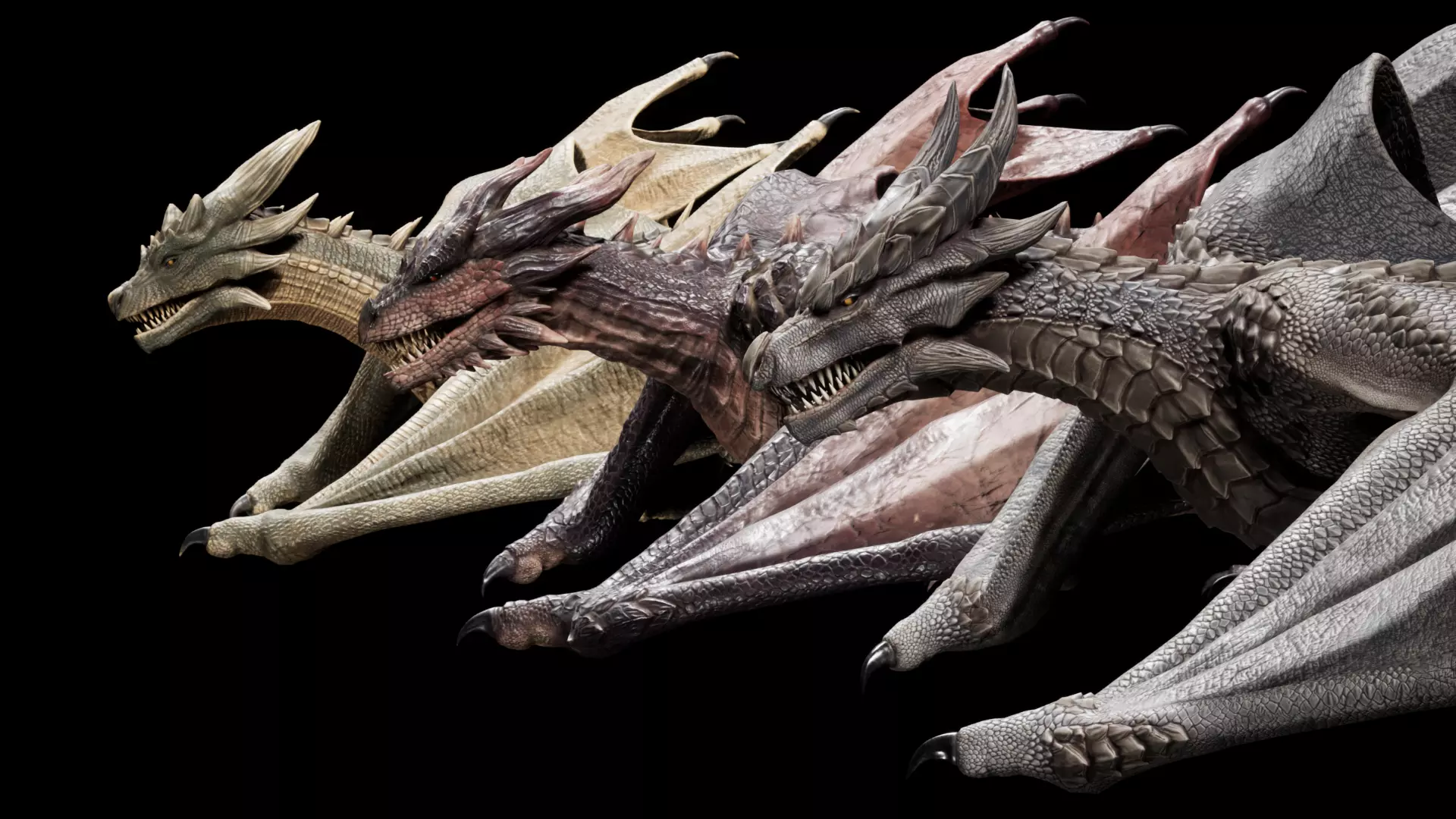 Dragon Wyvern Pack 3D Model Collection_8