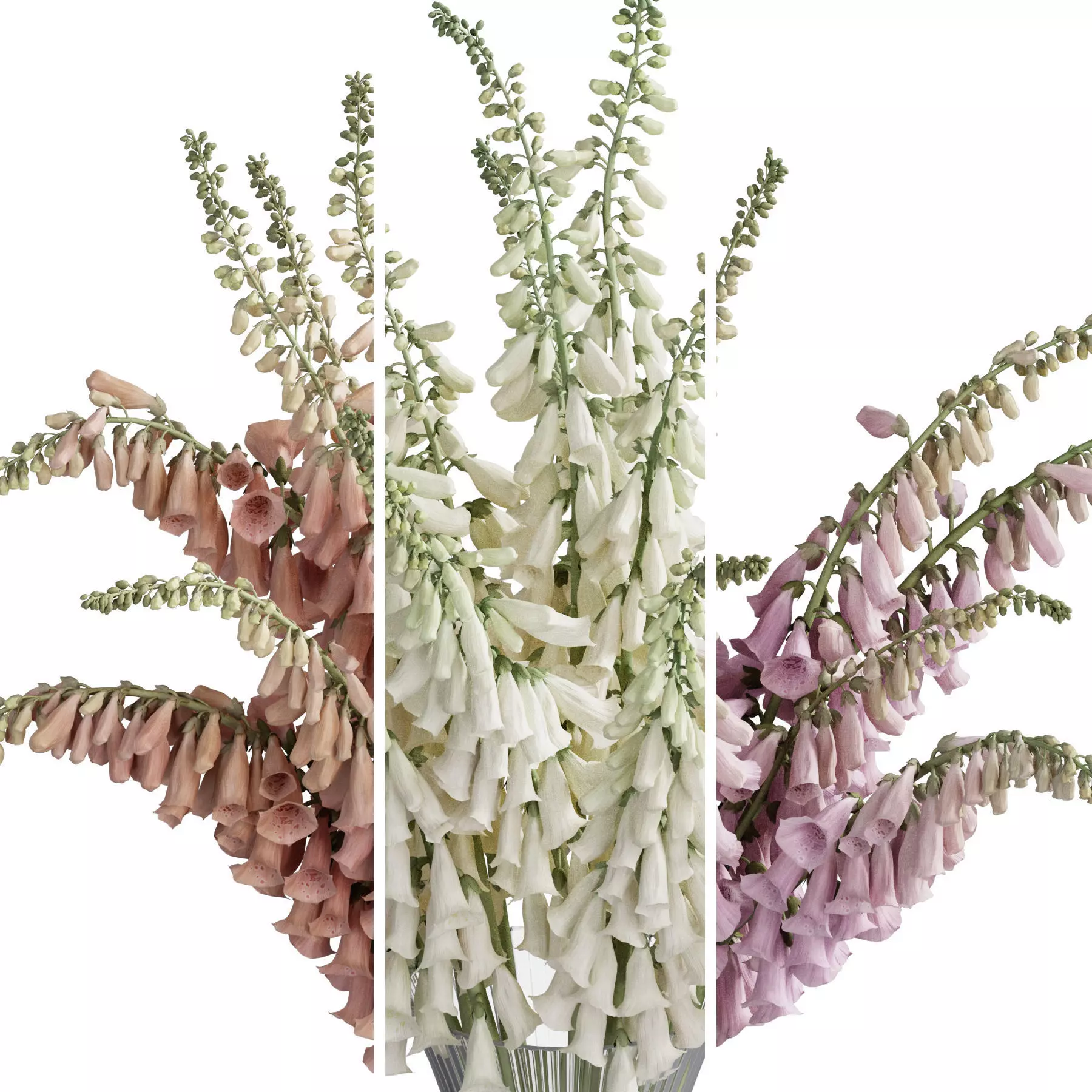 Flower In Vase 106 3D model_4