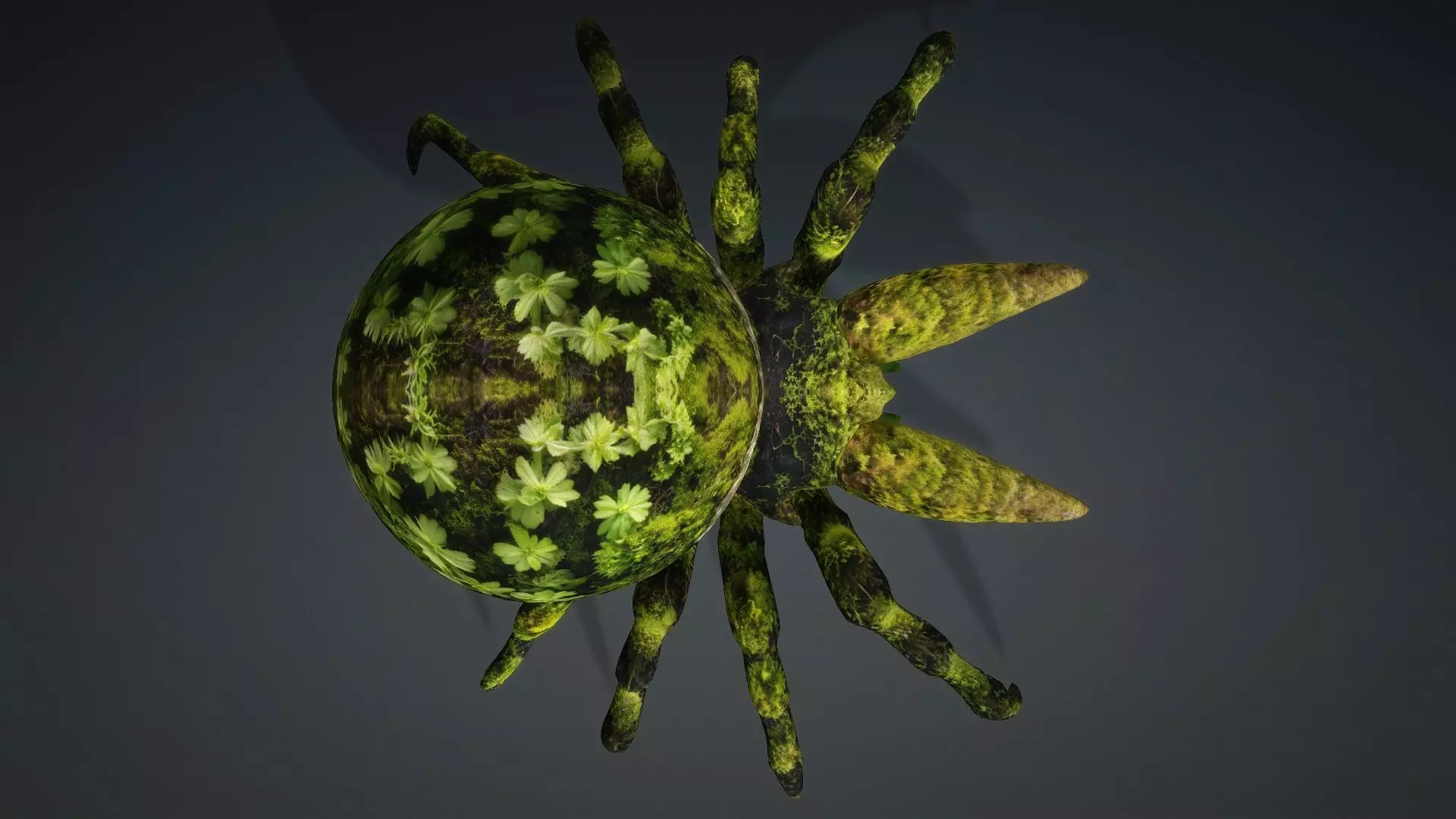 Spider Monster-V1c 3D model_12