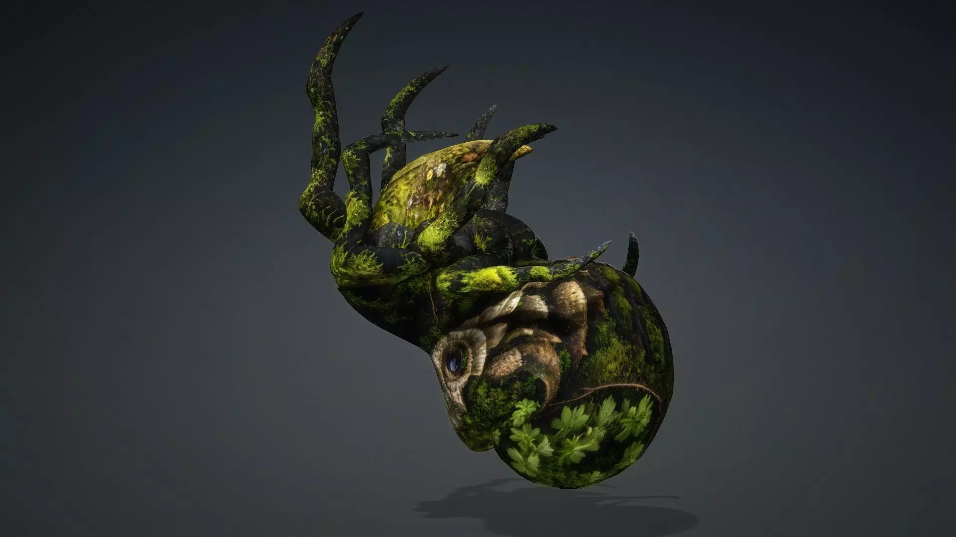 Spider Monster-V1c 3D model_16