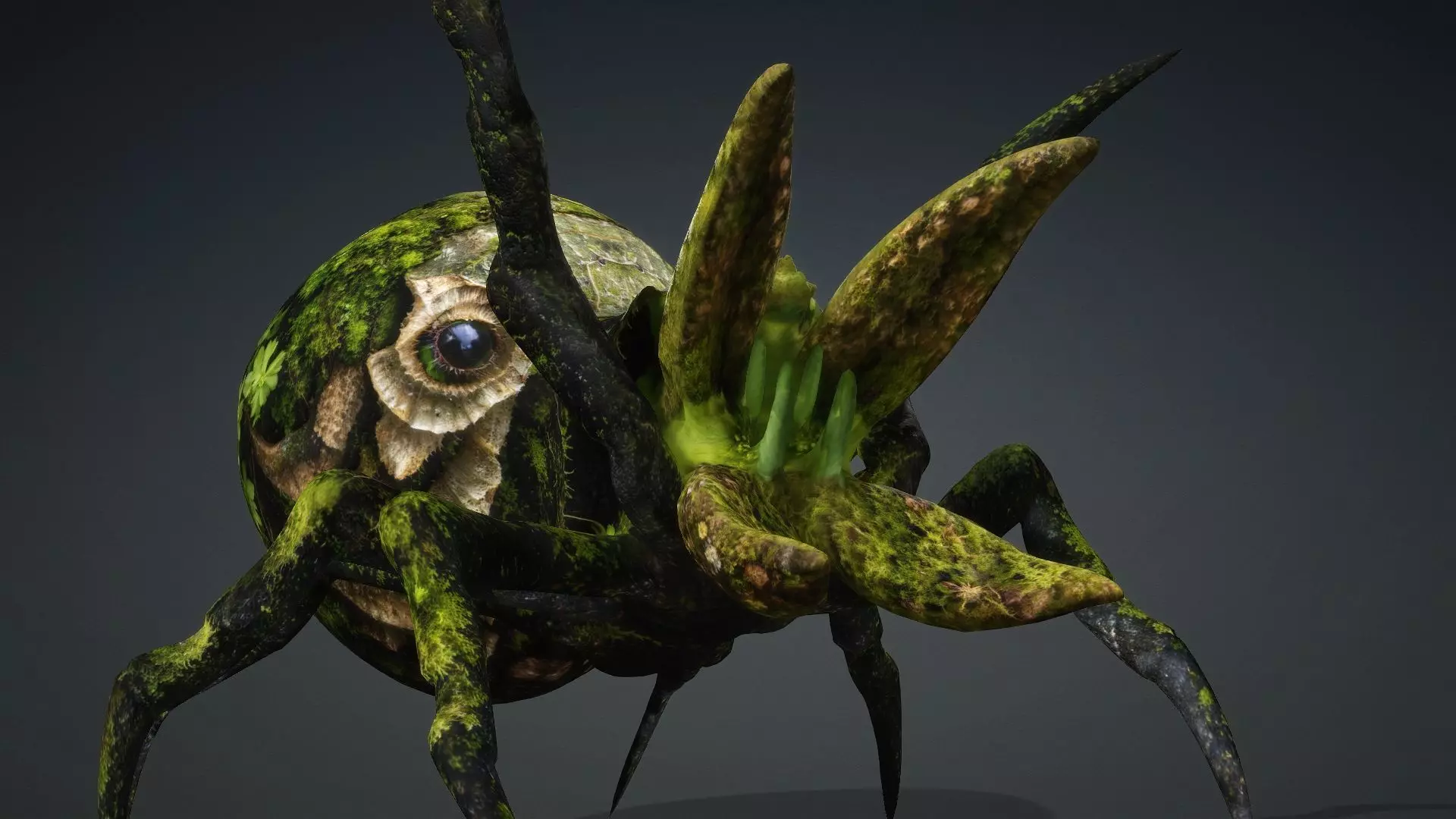 Spider Monster-V1c 3D model_14