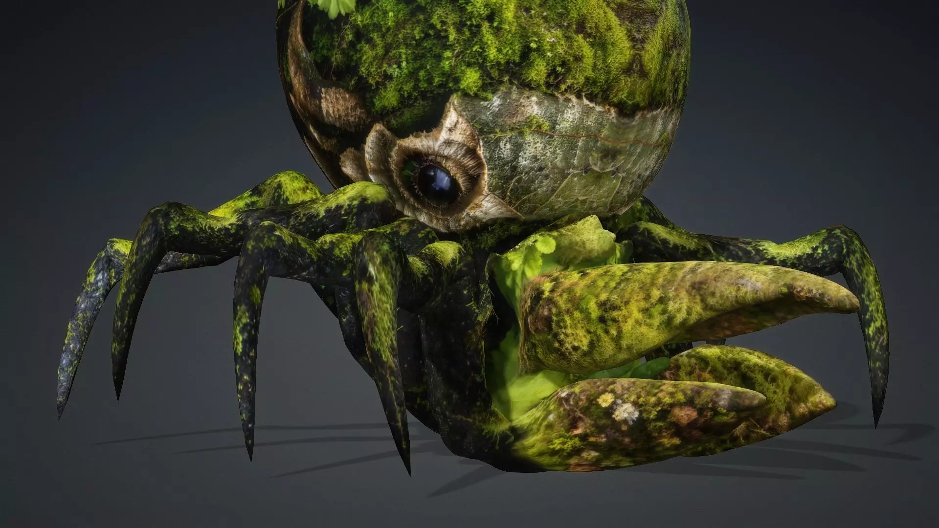 Spider Monster-V1c 3D model_7