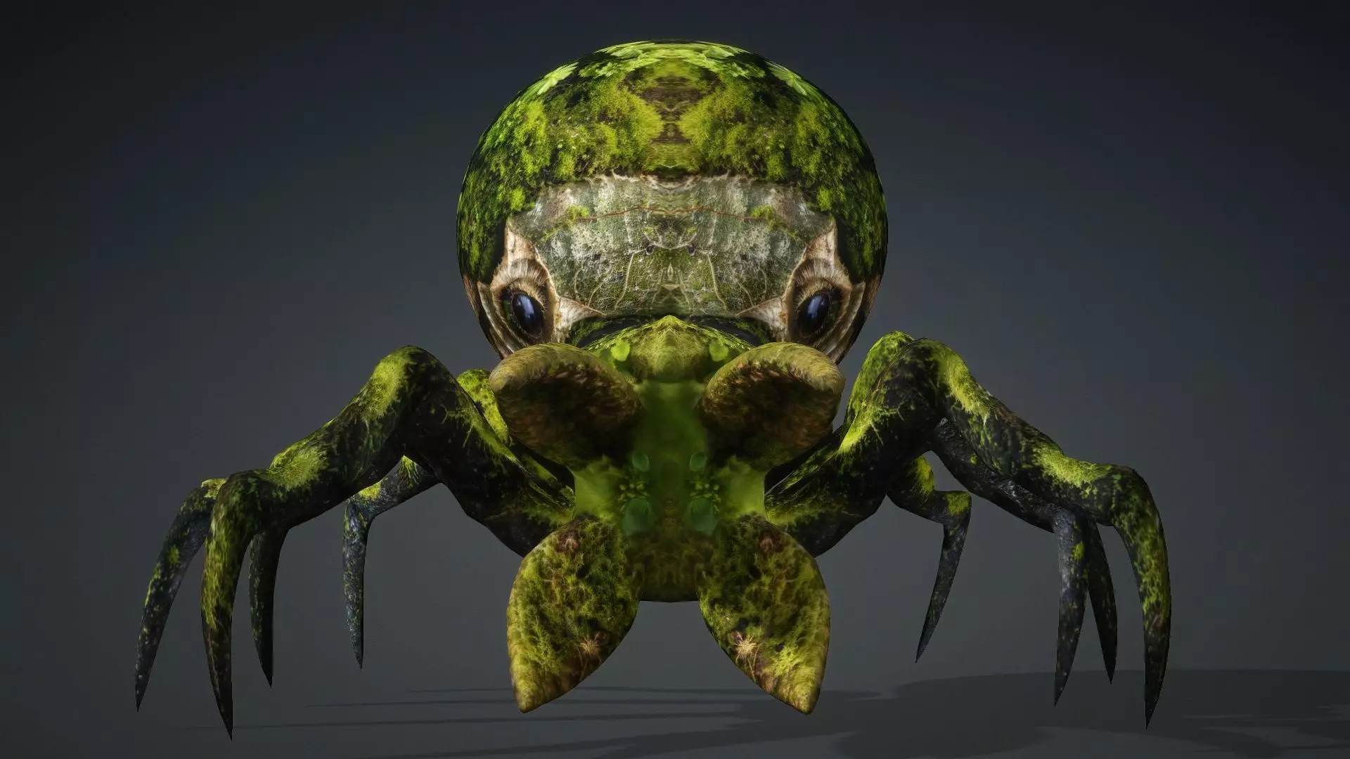 Spider Monster-V1c 3D model_11