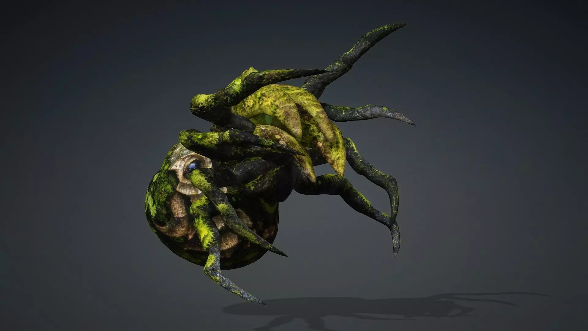 Spider Monster-V1c 3D model_15
