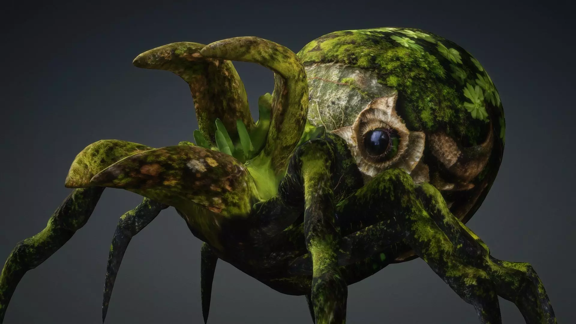 Spider Monster-V1c 3D model_8