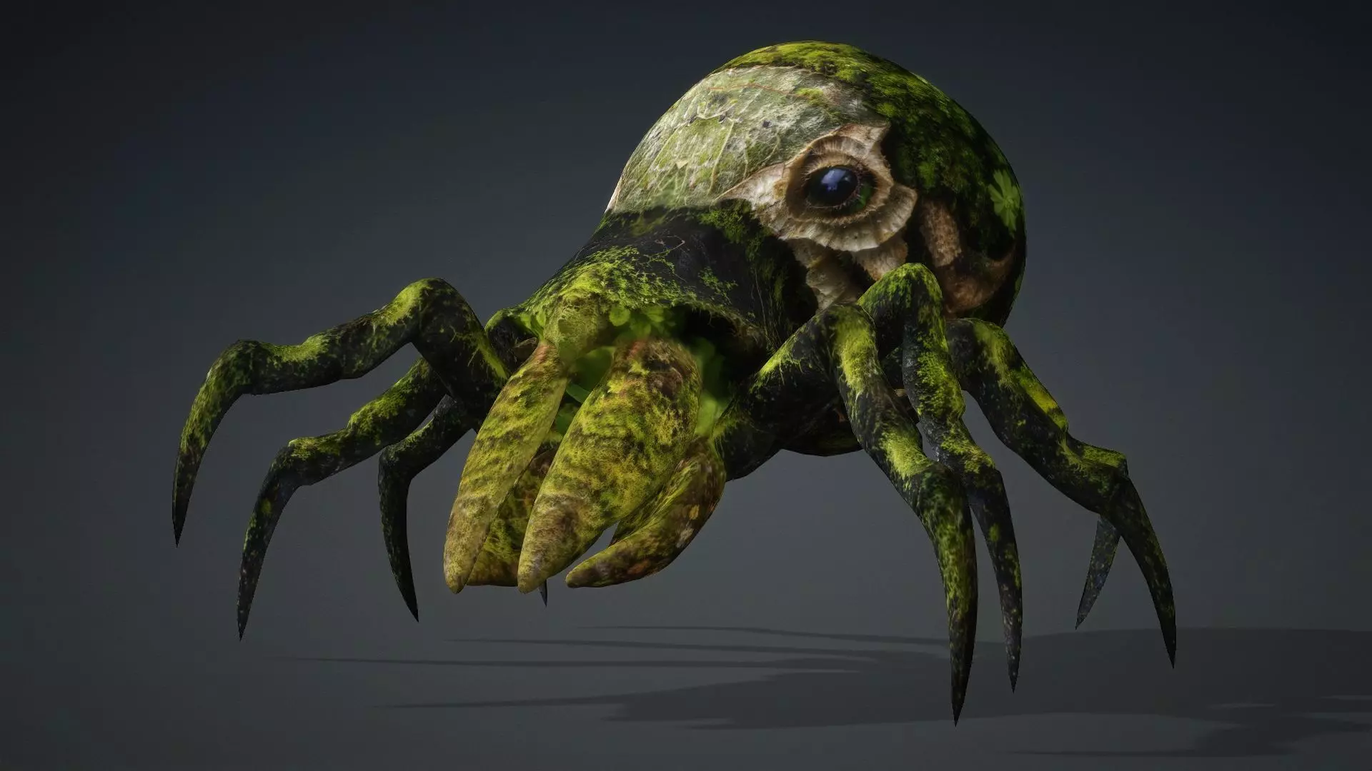 Spider Monster-V1c 3D model_13