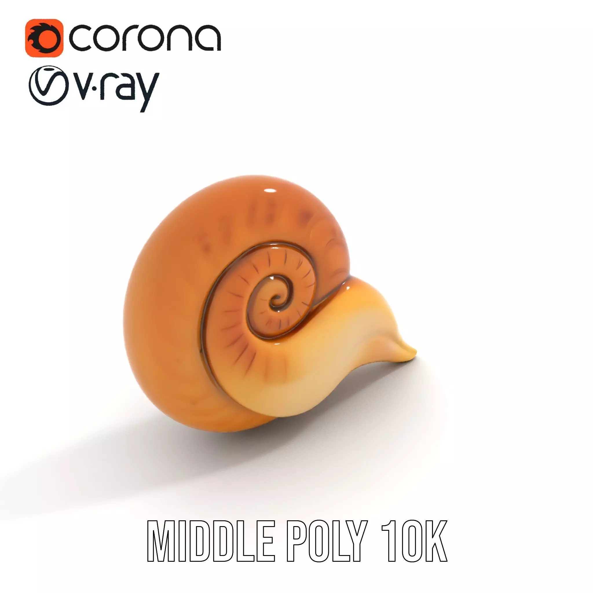 Glossy Spiral Shell model pack Low-poly 3D model_7