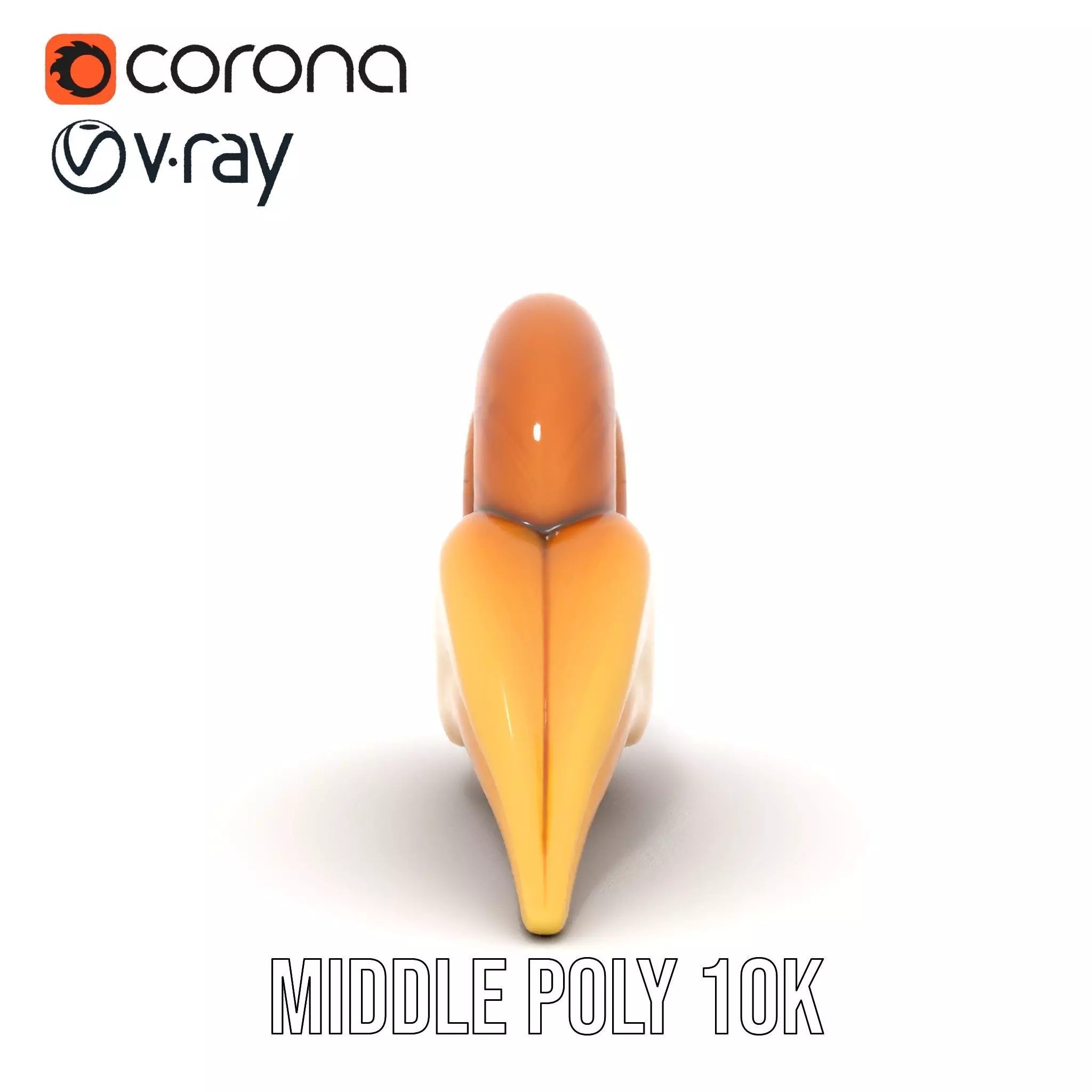 Glossy Spiral Shell model pack Low-poly 3D model_19