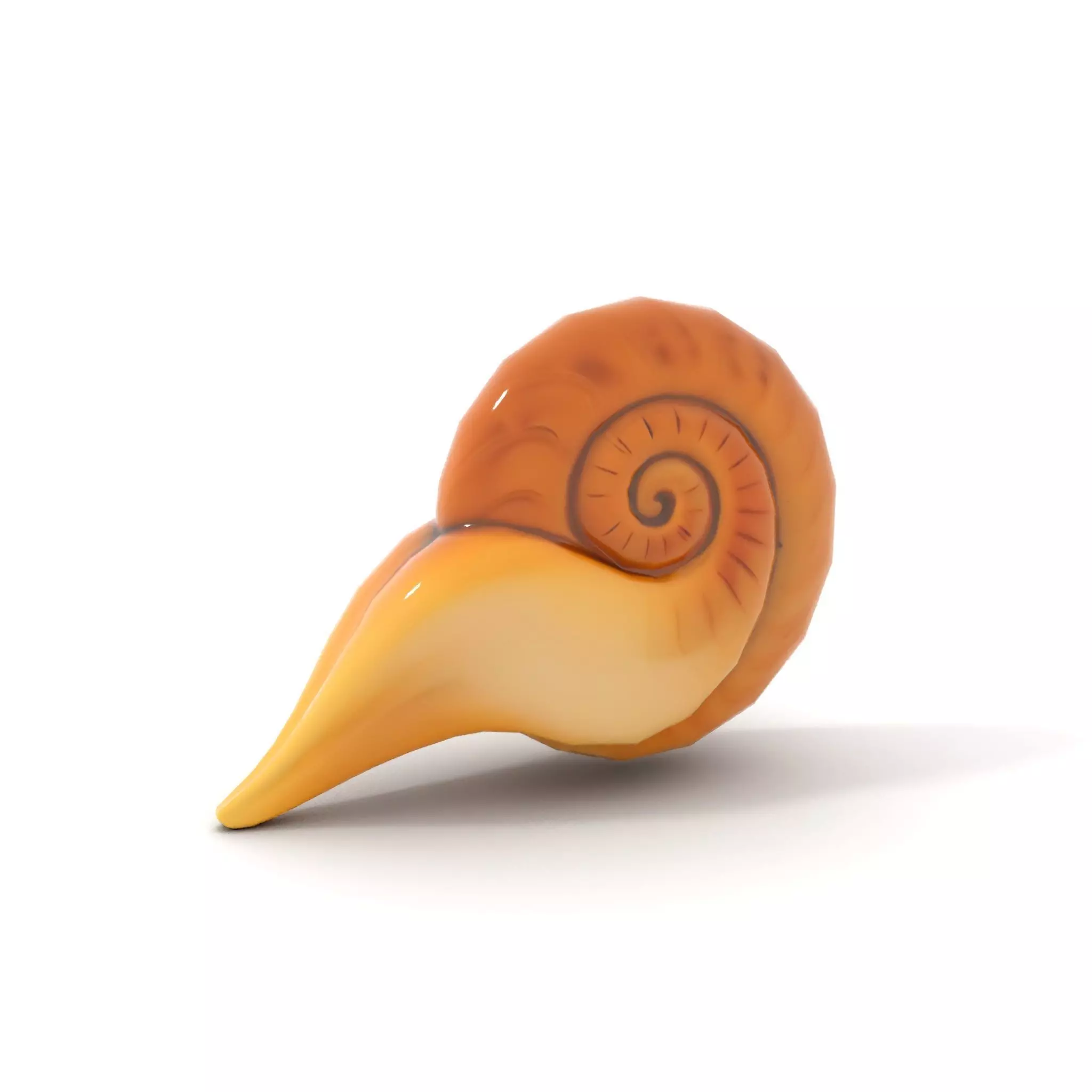 Glossy Spiral Shell model pack Low-poly 3D model_10