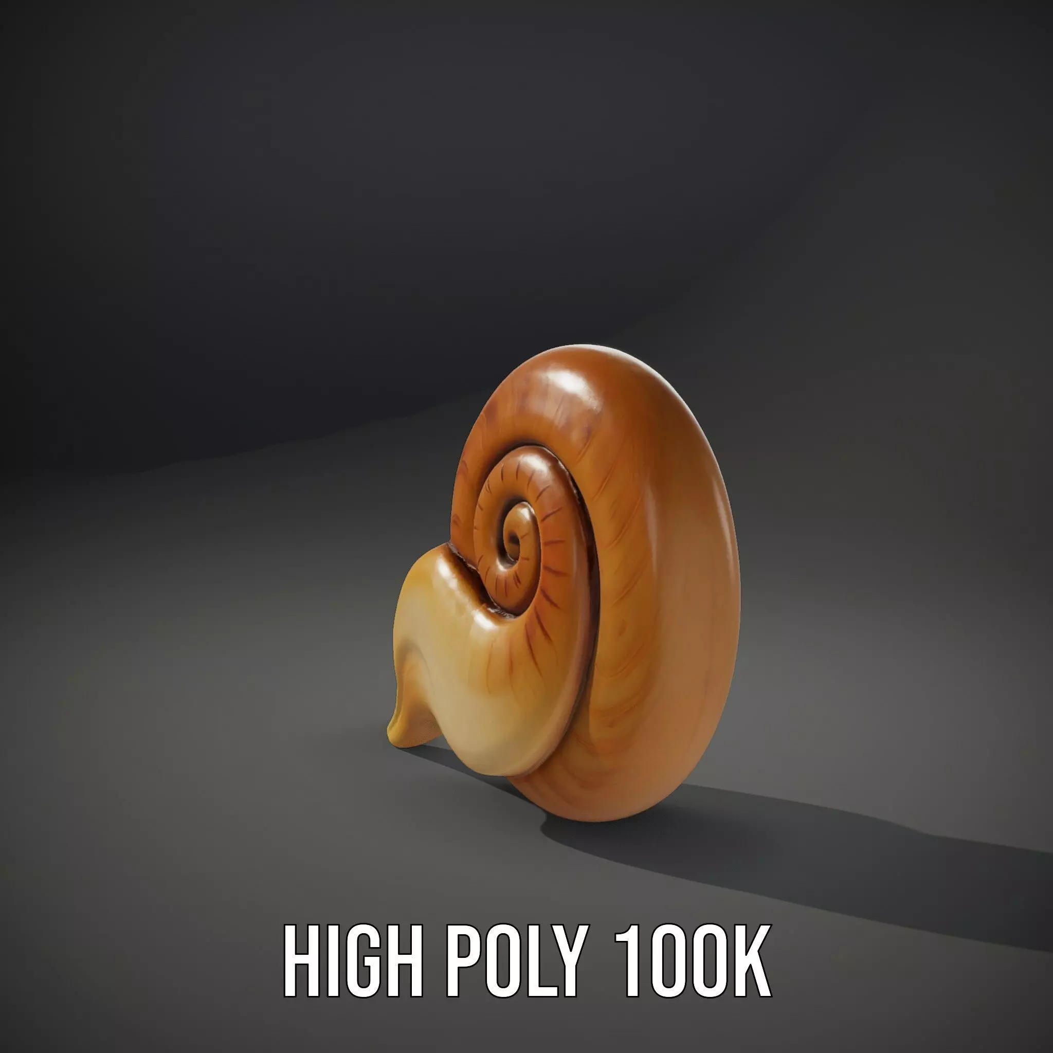 Glossy Spiral Shell model pack Low-poly 3D model_11