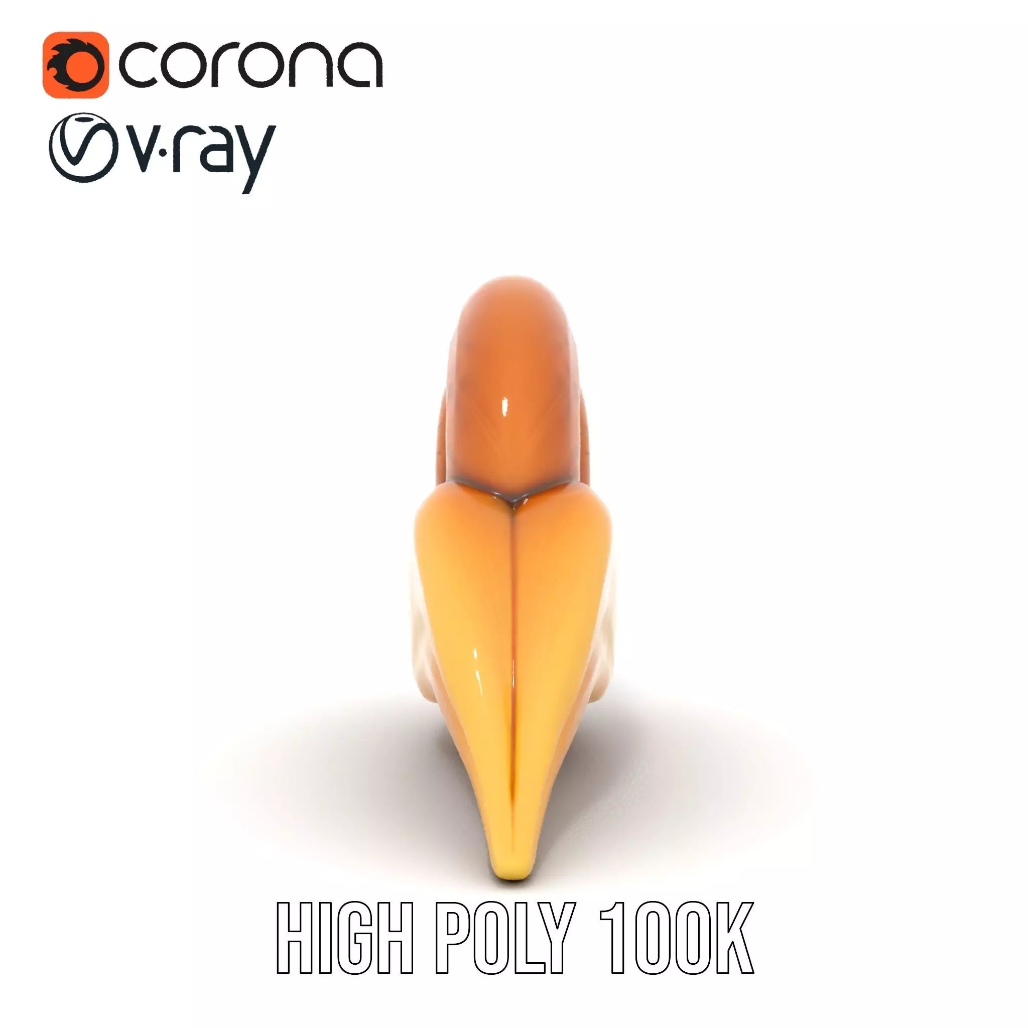 Glossy Spiral Shell model pack Low-poly 3D model_24