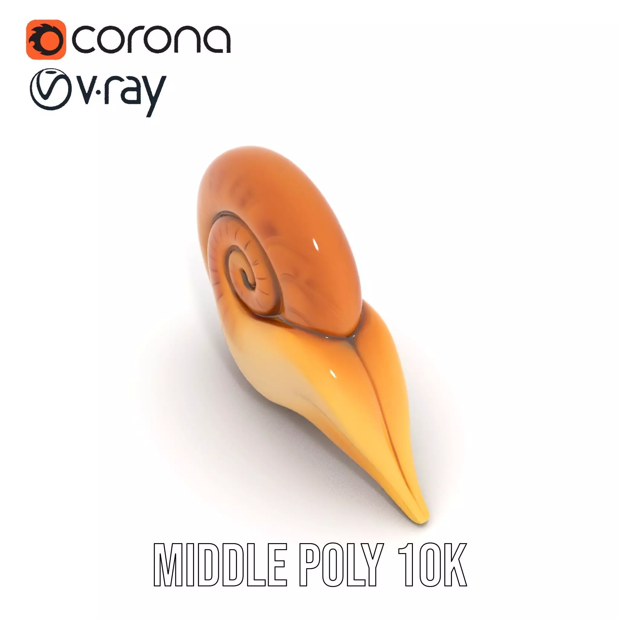 Glossy Spiral Shell model pack Low-poly 3D model_6