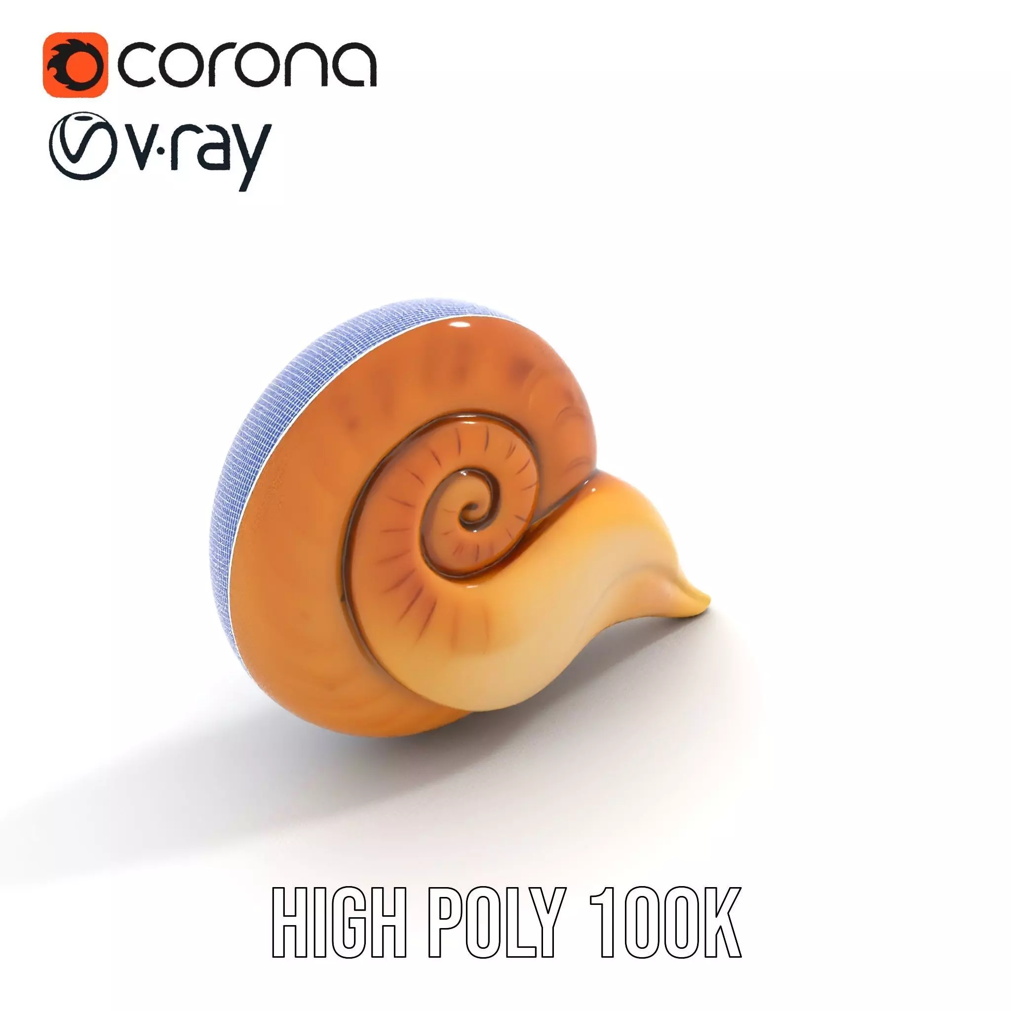 Glossy Spiral Shell model pack Low-poly 3D model_33
