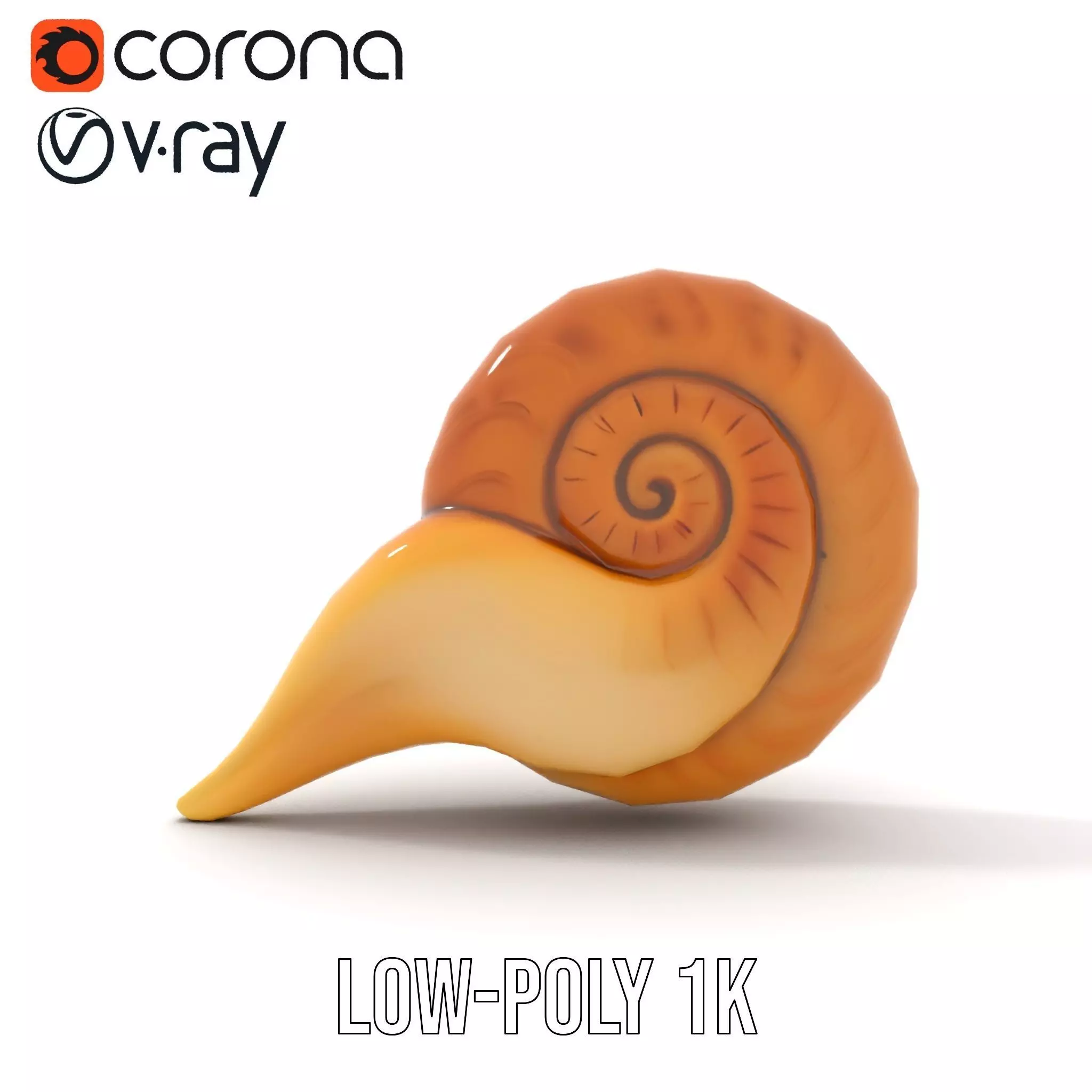 Glossy Spiral Shell model pack Low-poly 3D model_13