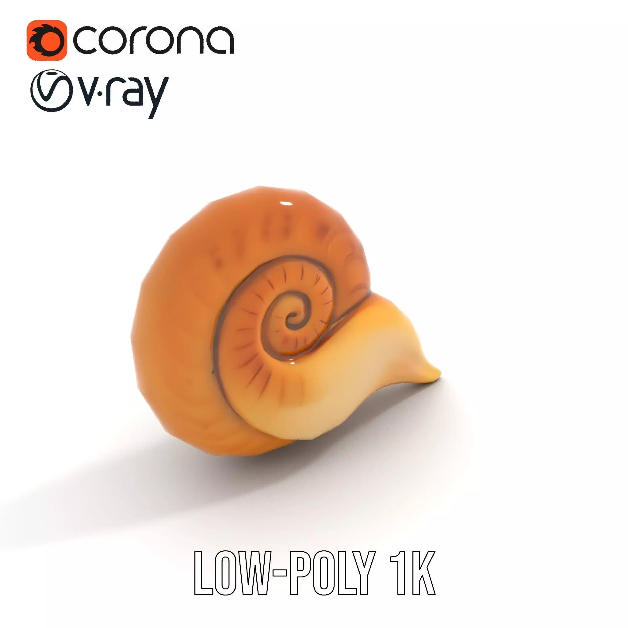 Glossy Spiral Shell model pack Low-poly 3D model_8