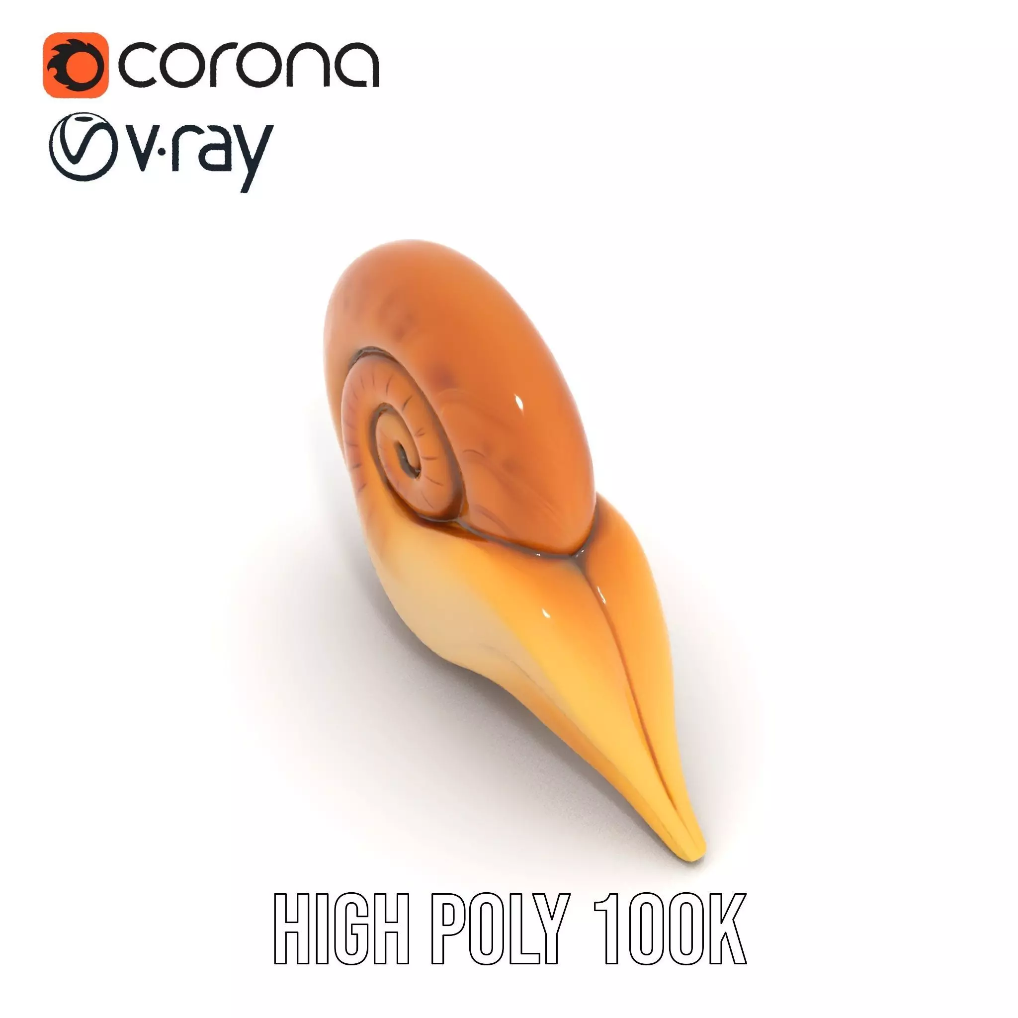 Glossy Spiral Shell model pack Low-poly 3D model_18