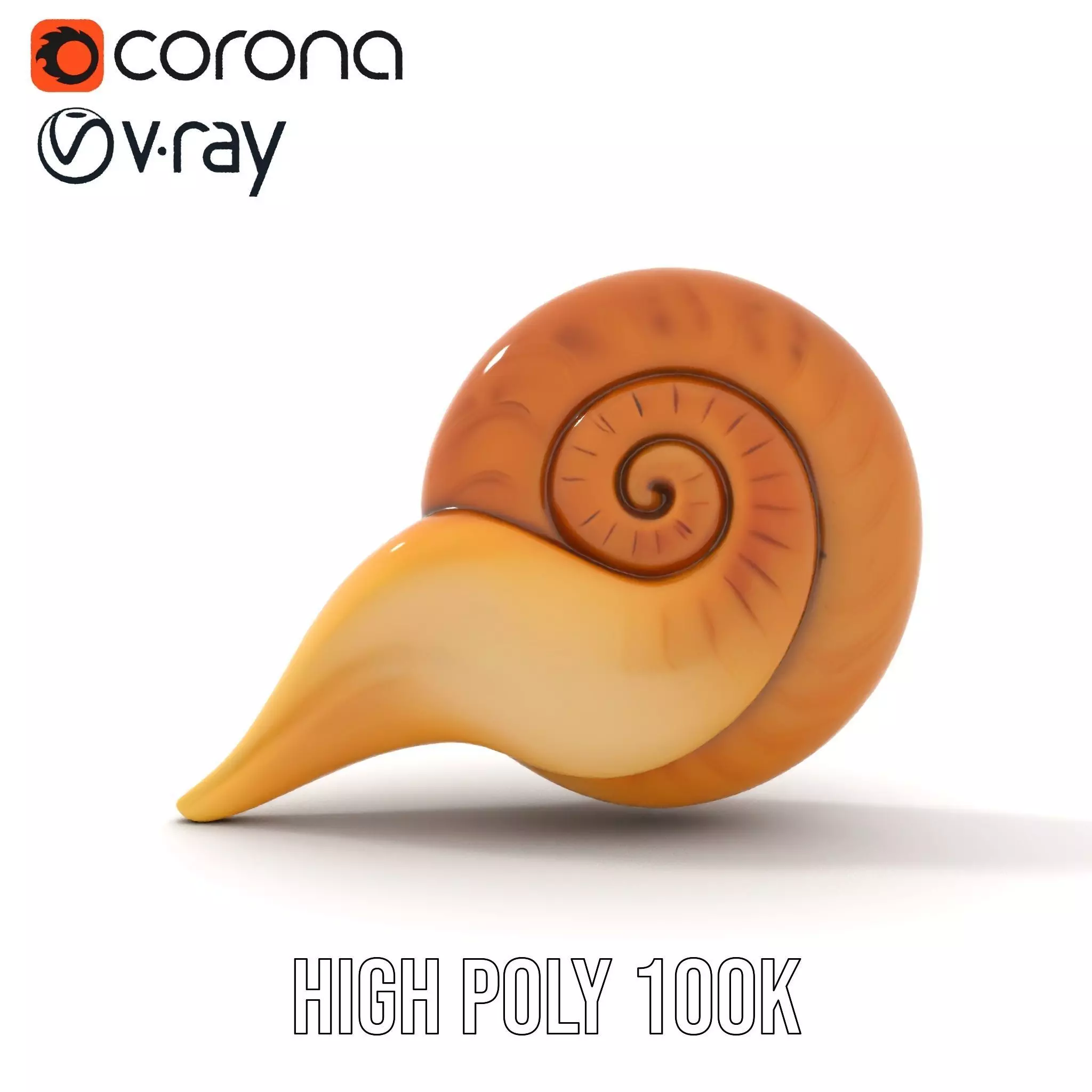 Glossy Spiral Shell model pack Low-poly 3D model_21